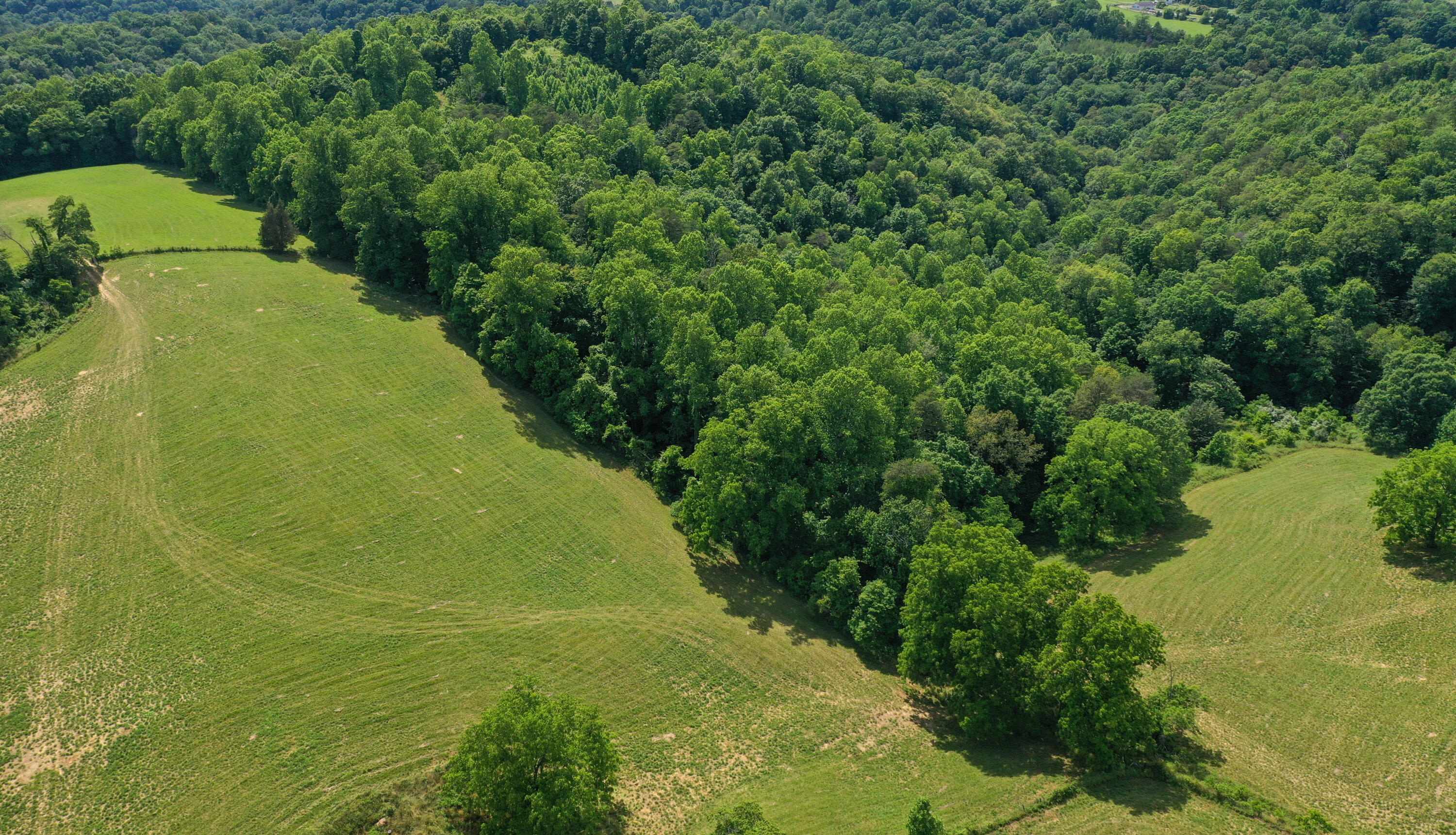 1260 Pinecrest Road Jacksboro, TN 37757 - Photo 9 of 28 DJI_0505