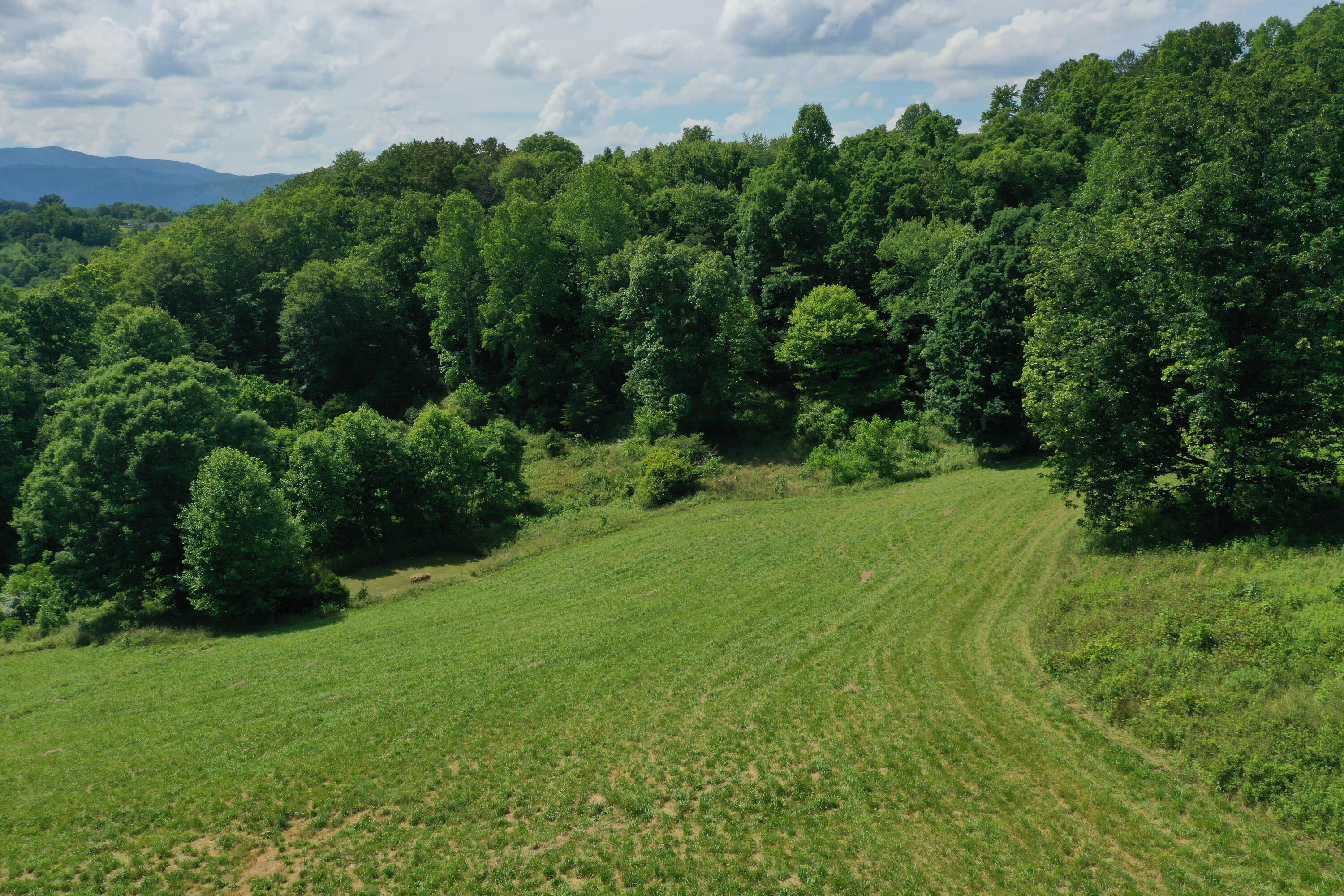 1260 Pinecrest Road Jacksboro, TN 37757 - Photo 10 of 28 DJI_0515