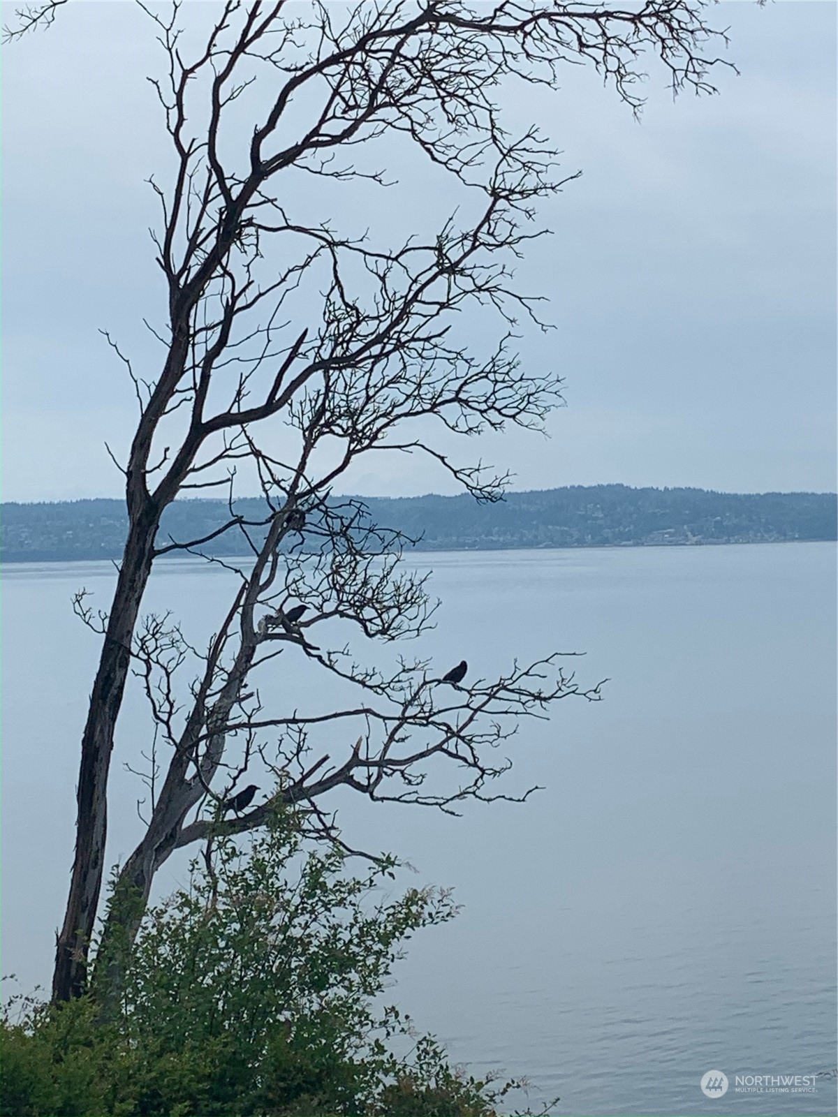 3839 G Mukilteo Way Everett, WA 98201 - Photo 11 of 14