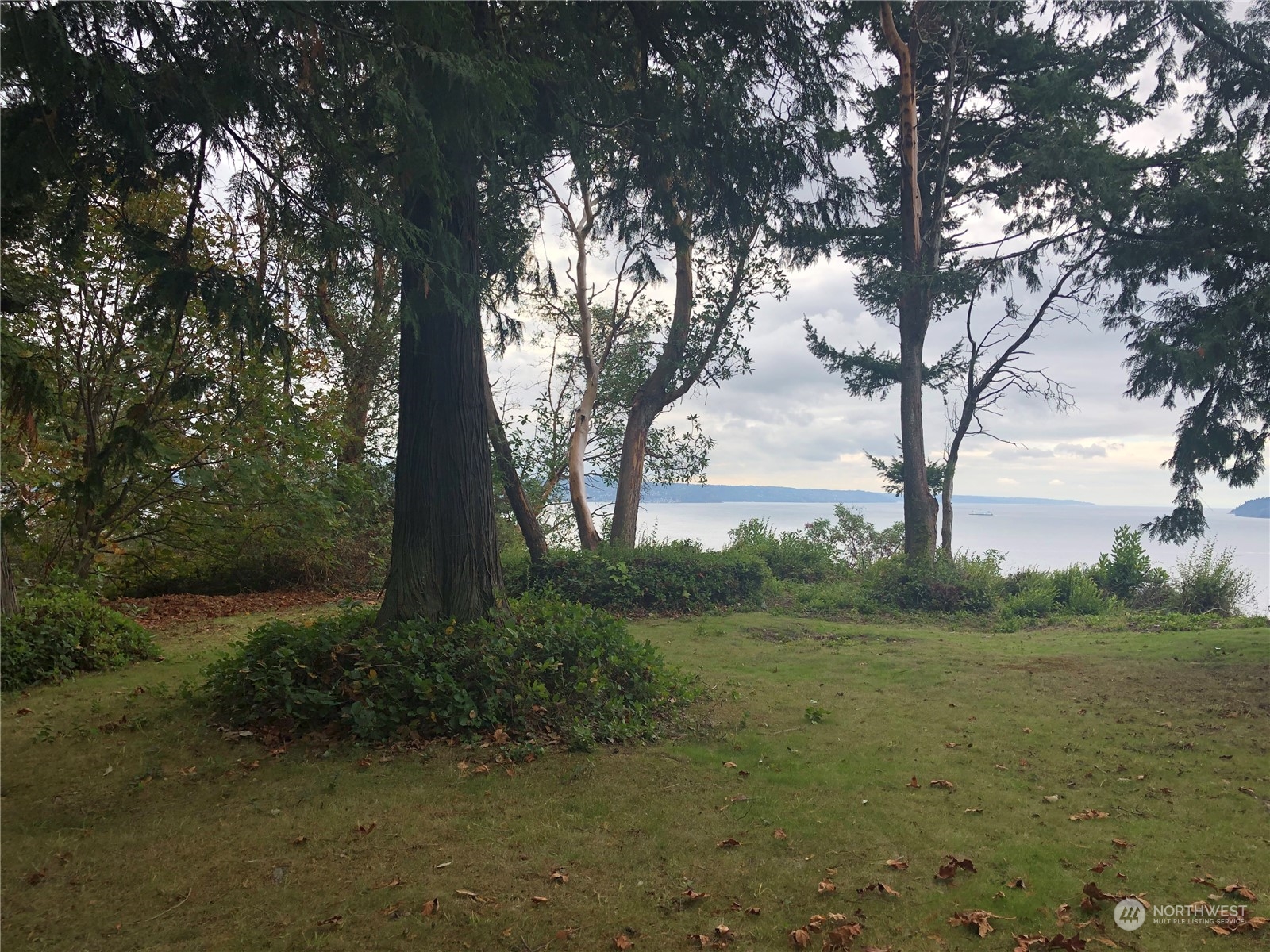 3839 G Mukilteo Way Everett, WA 98201 - Photo 7 of 14 a view of a trees