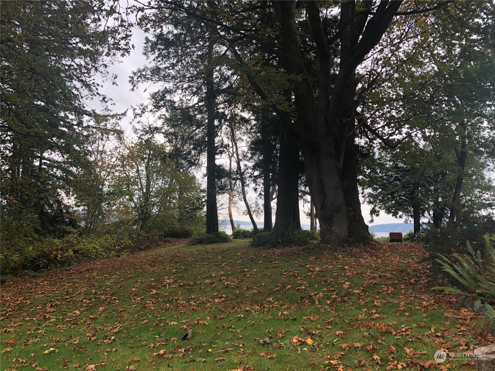 3839 G Mukilteo Way Everett, WA 98201 - Photo 9 of 14