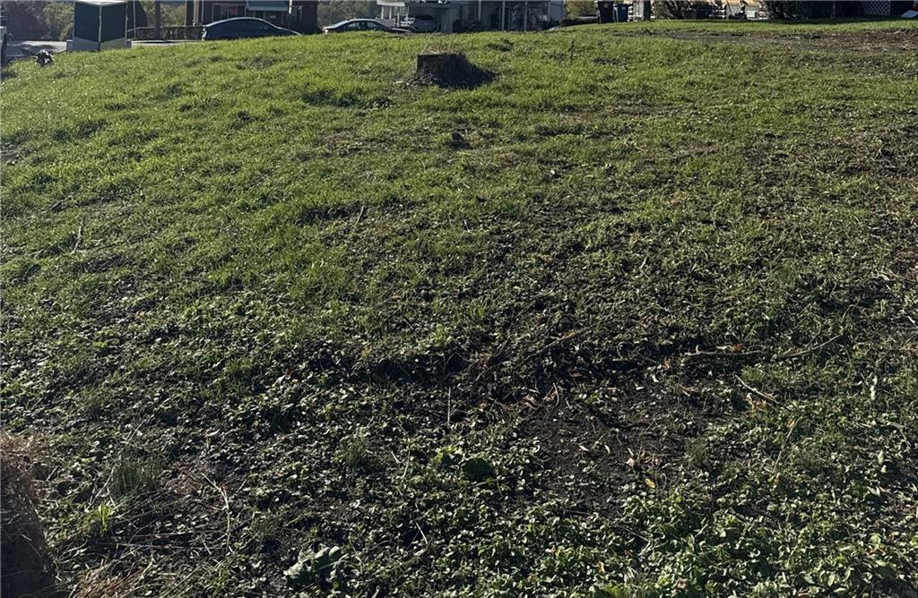 0 Custer Avenue Pittsburgh, PA 15227 - Photo 2 of 2 a view of a yard with small space