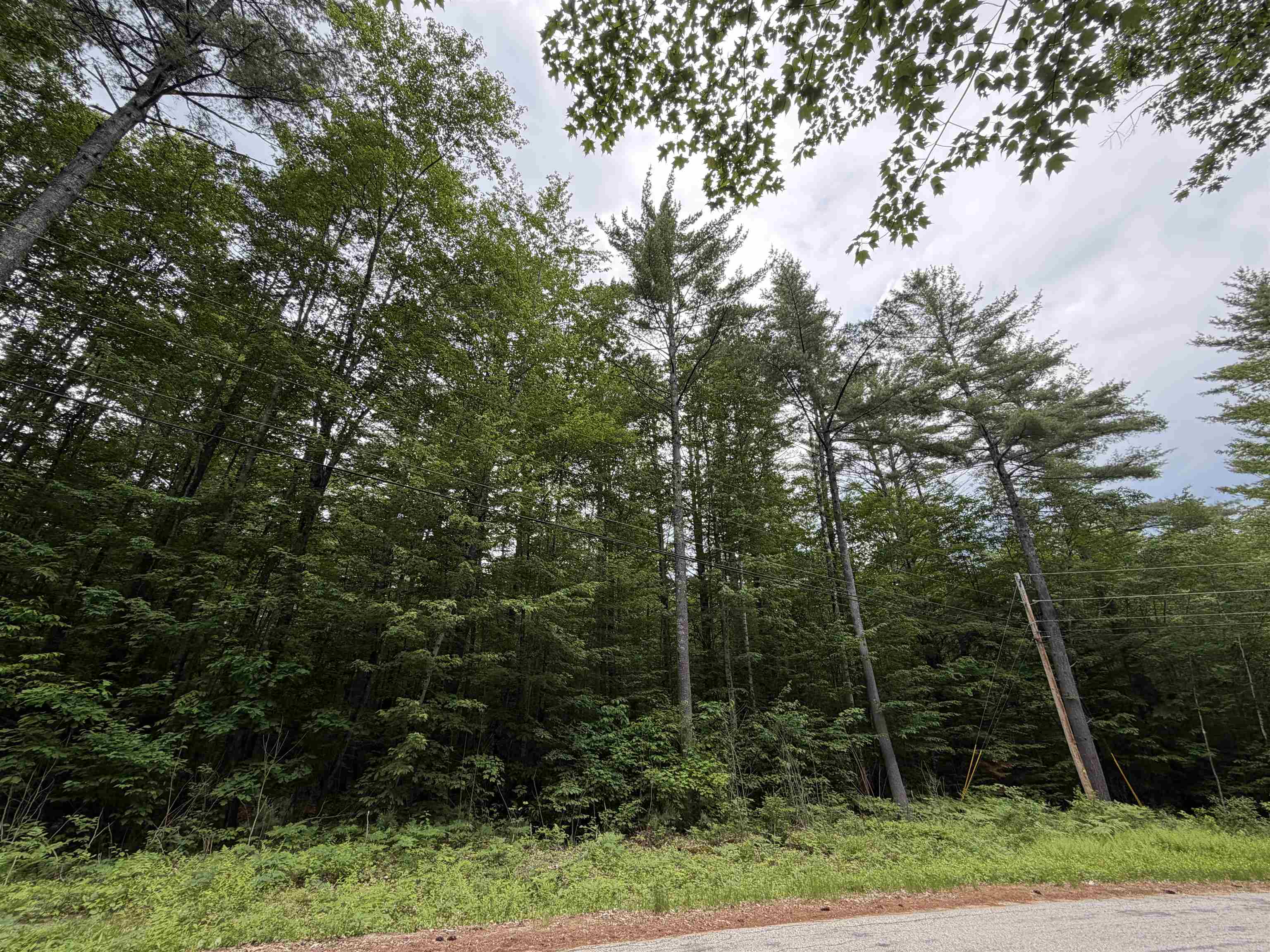 0 Rolling Ridge Road Bartlett, NH 03812 - Photo 3 of 6