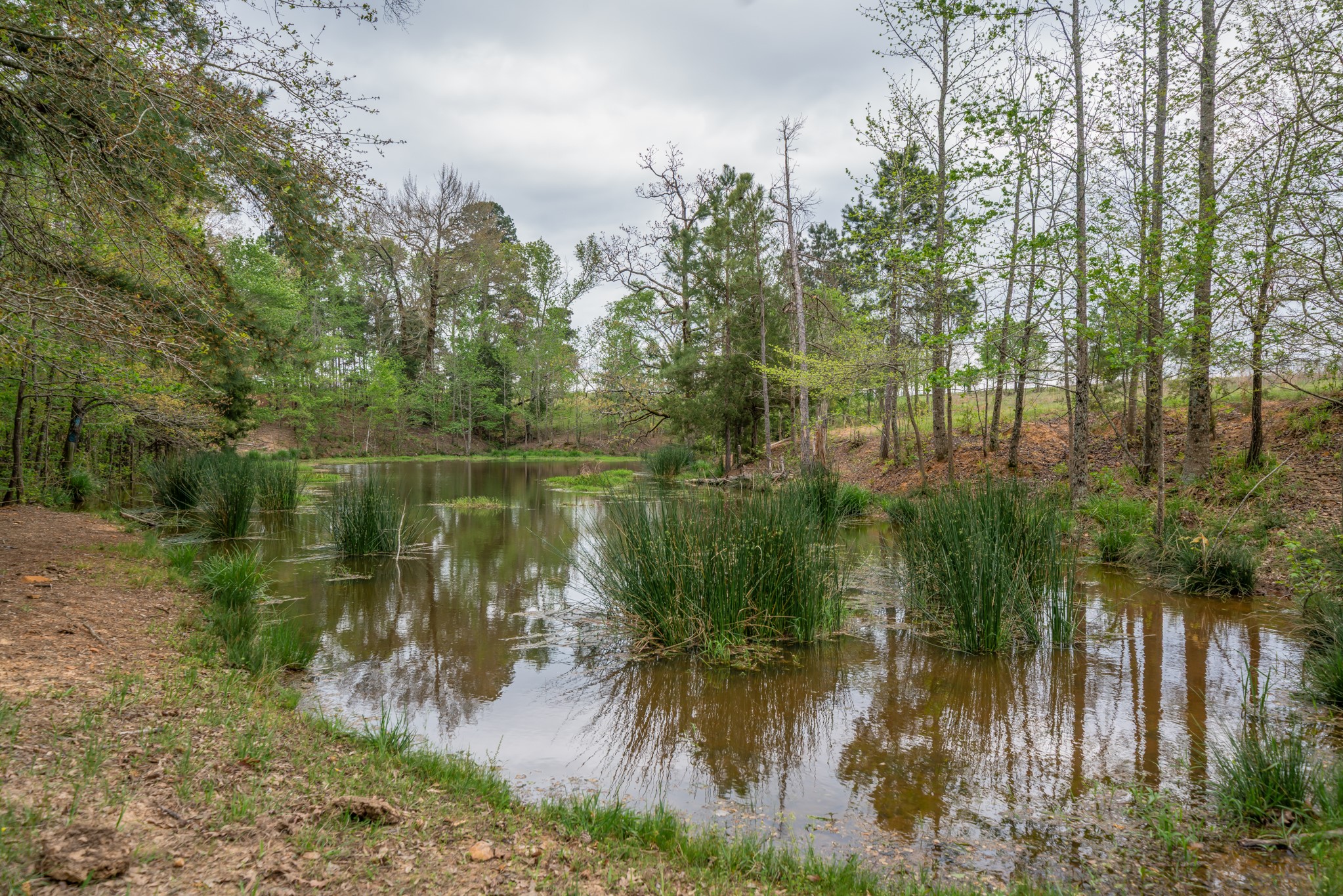 155 Ore City Tx 75683 Tyler, TX 75708 - Photo 42 of 50