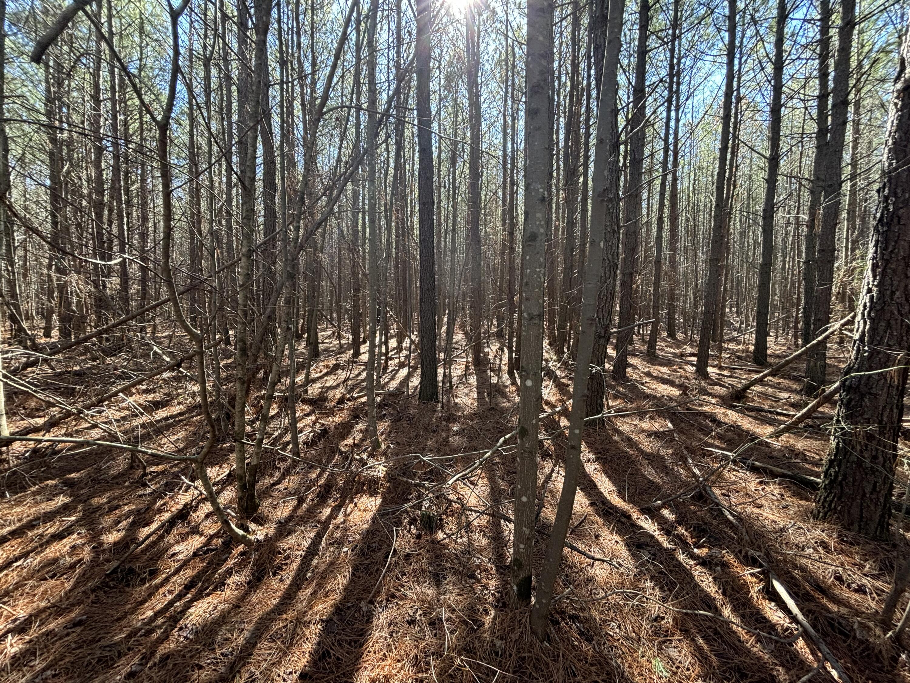 9 Hwy 399 Road Dunlap, TN 37327 - Photo 11 of 15 Photo Feb 24 2025, 11 51 00 AM