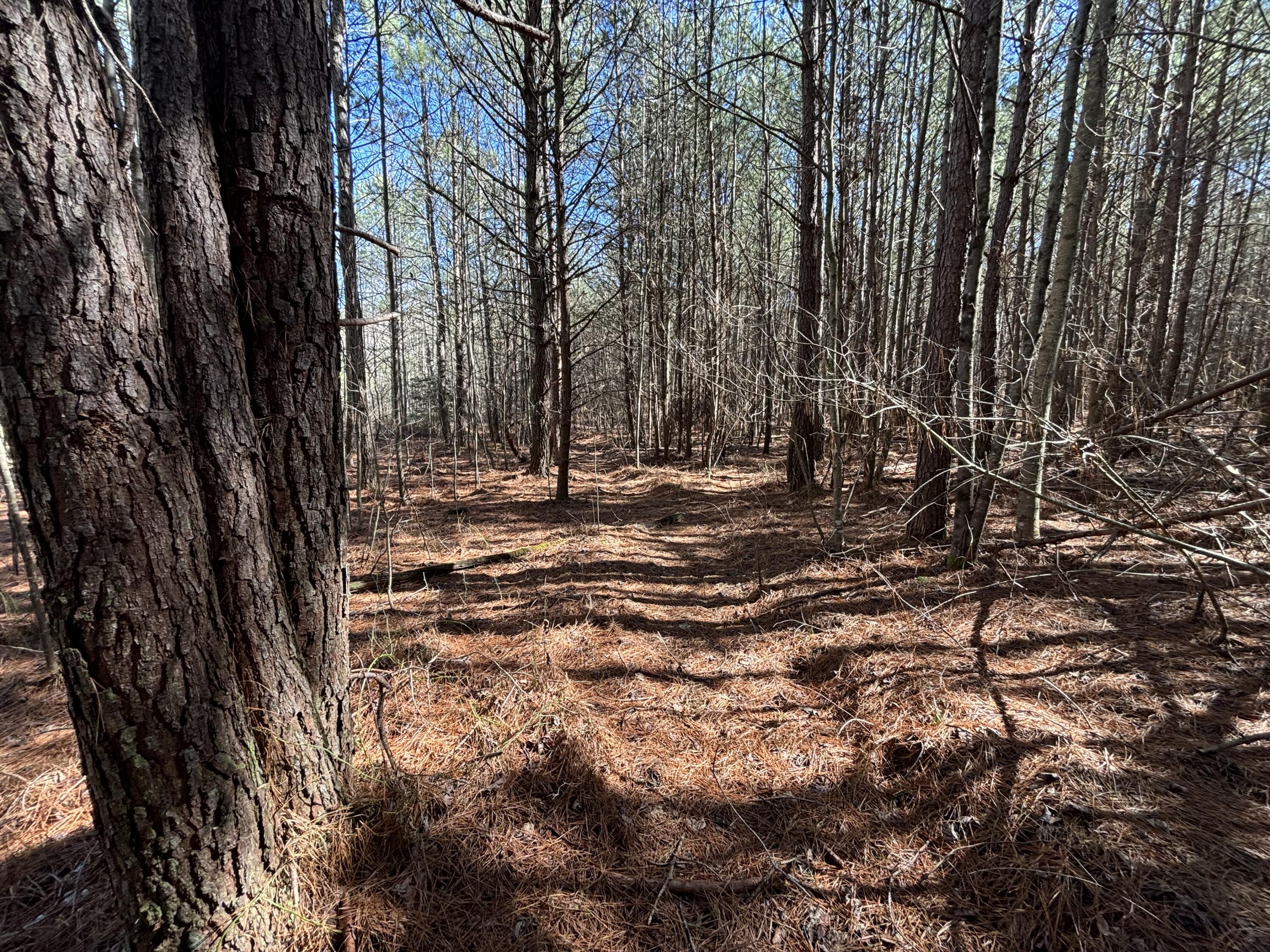 9 Hwy 399 Road Dunlap, TN 37327 - Photo 12 of 15 Photo Feb 24 2025, 11 51 06 AM