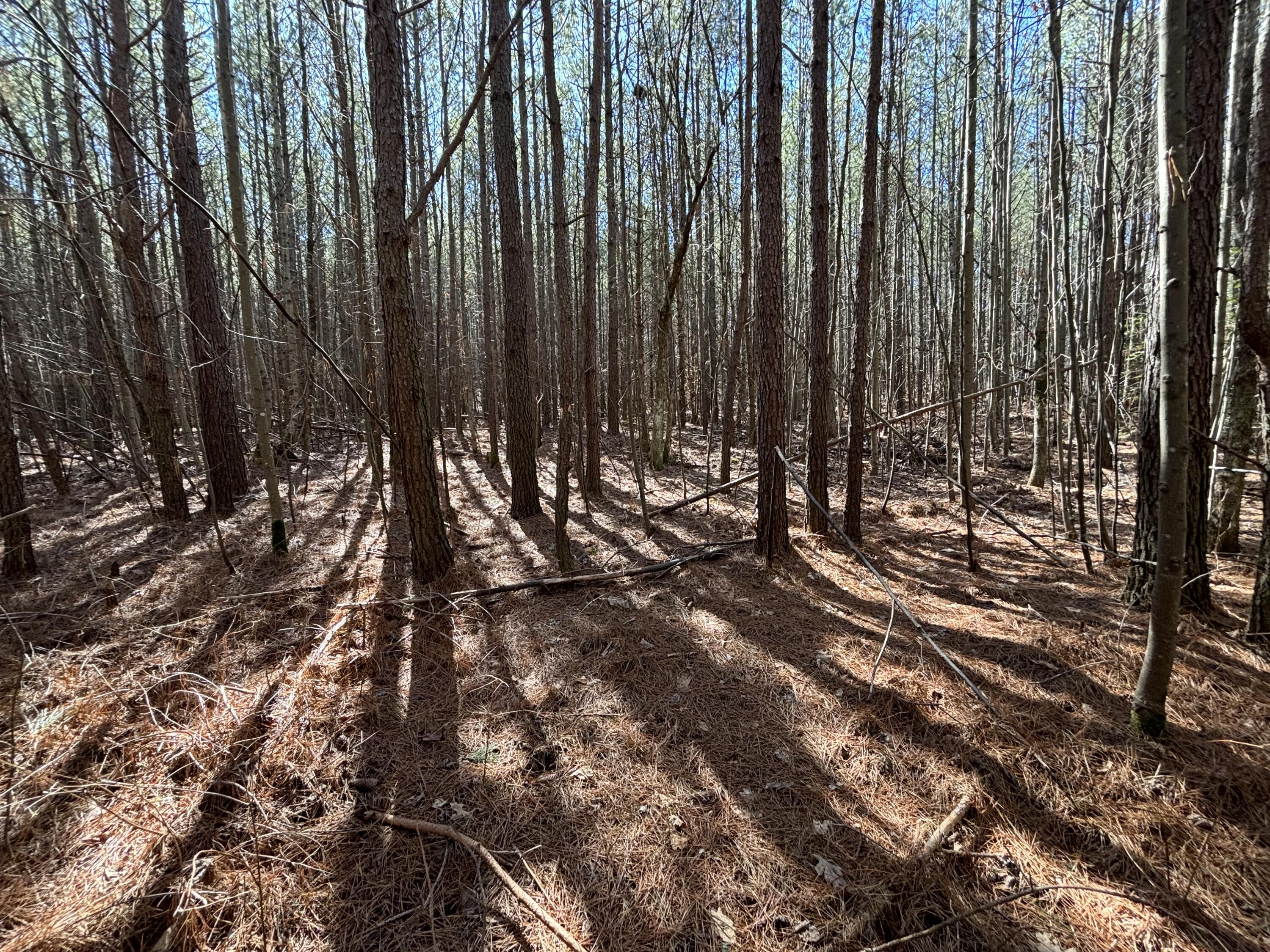 9 Hwy 399 Road Dunlap, TN 37327 - Photo 13 of 15 Photo Feb 24 2025, 11 51 43 AM