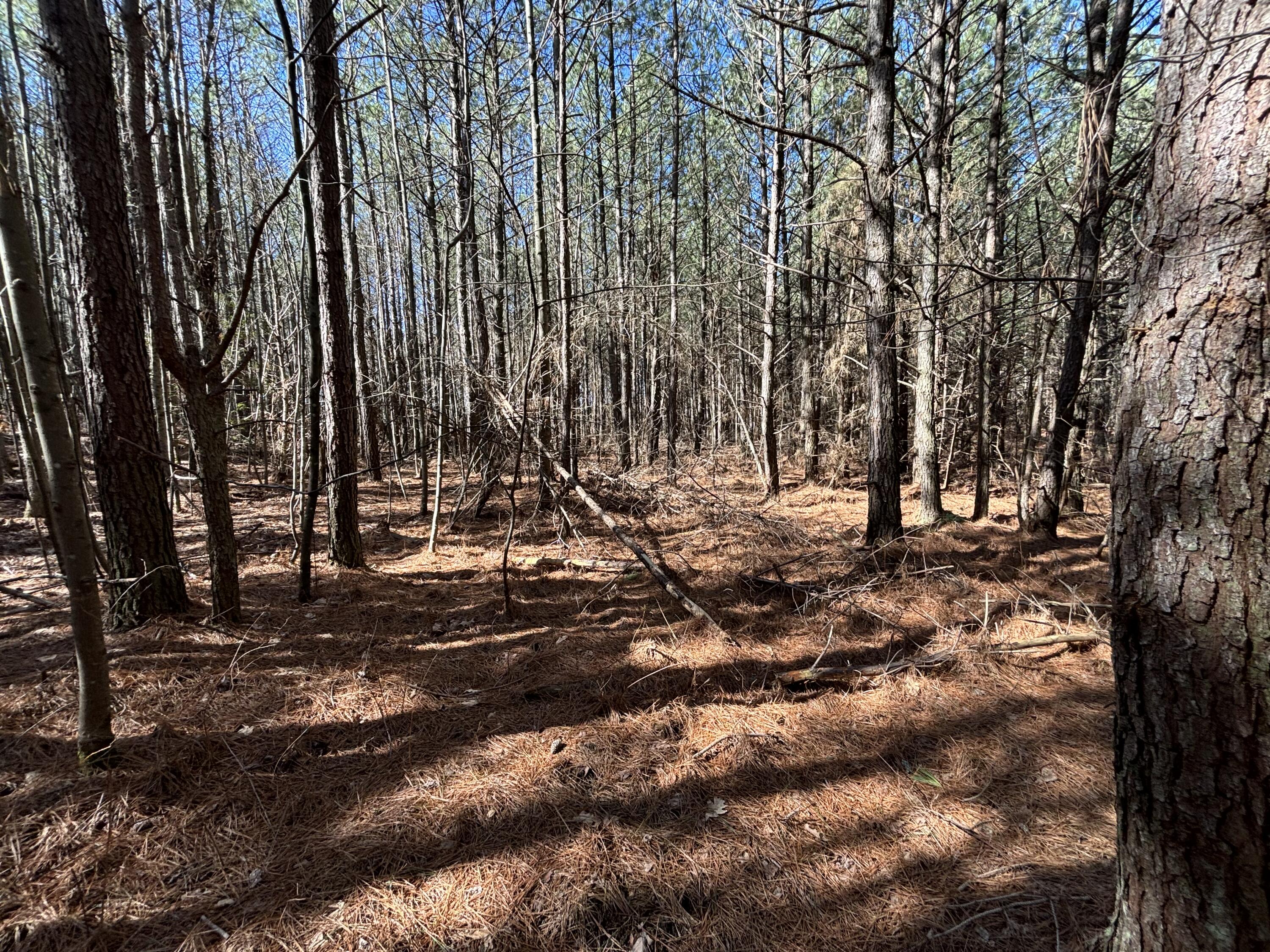 9 Hwy 399 Road Dunlap, TN 37327 - Photo 14 of 15 Photo Feb 24 2025, 11 51 46 AM