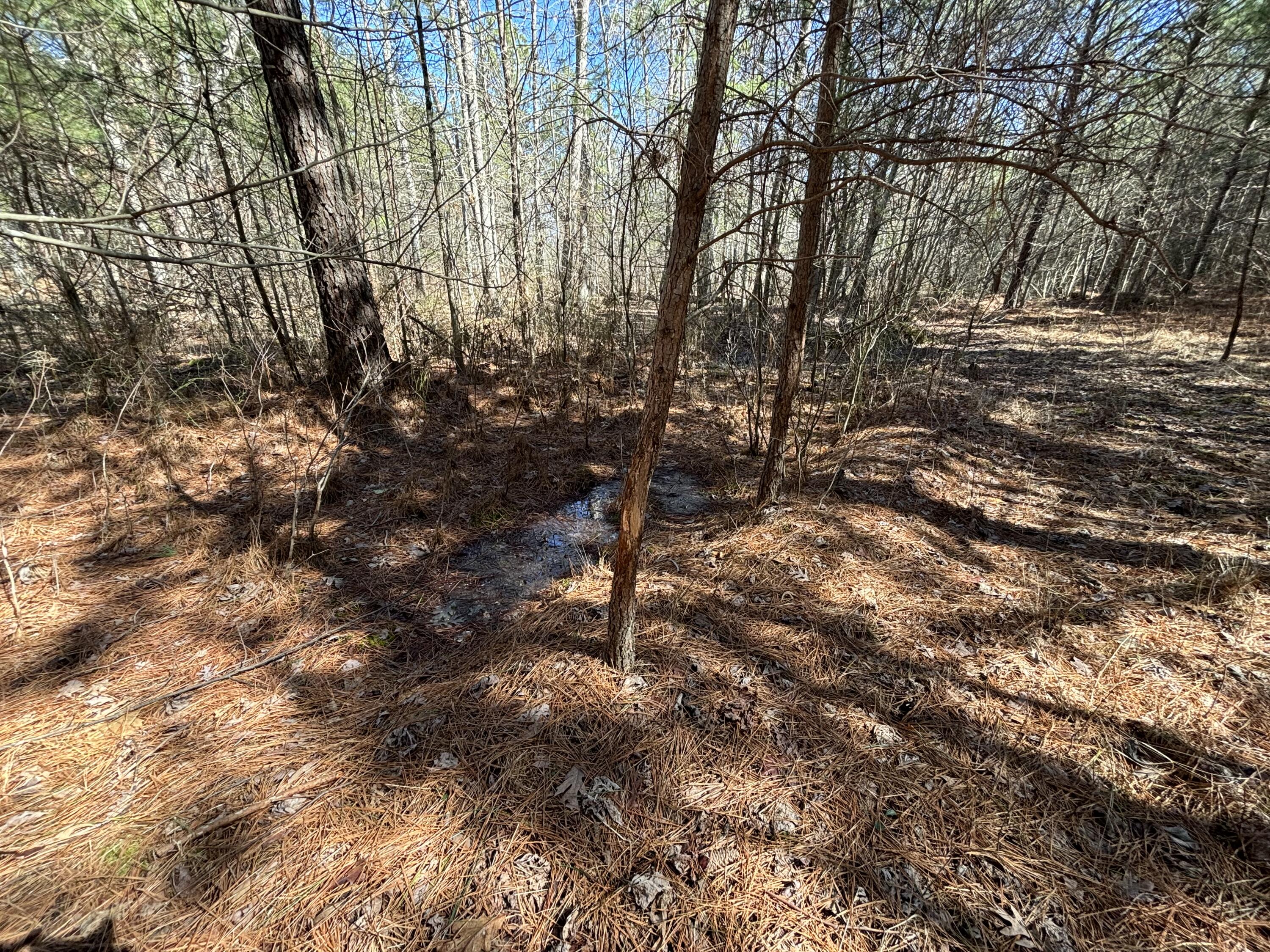 9 Hwy 399 Road Dunlap, TN 37327 - Photo 15 of 15 Photo Feb 24 2025, 11 58 28 AM