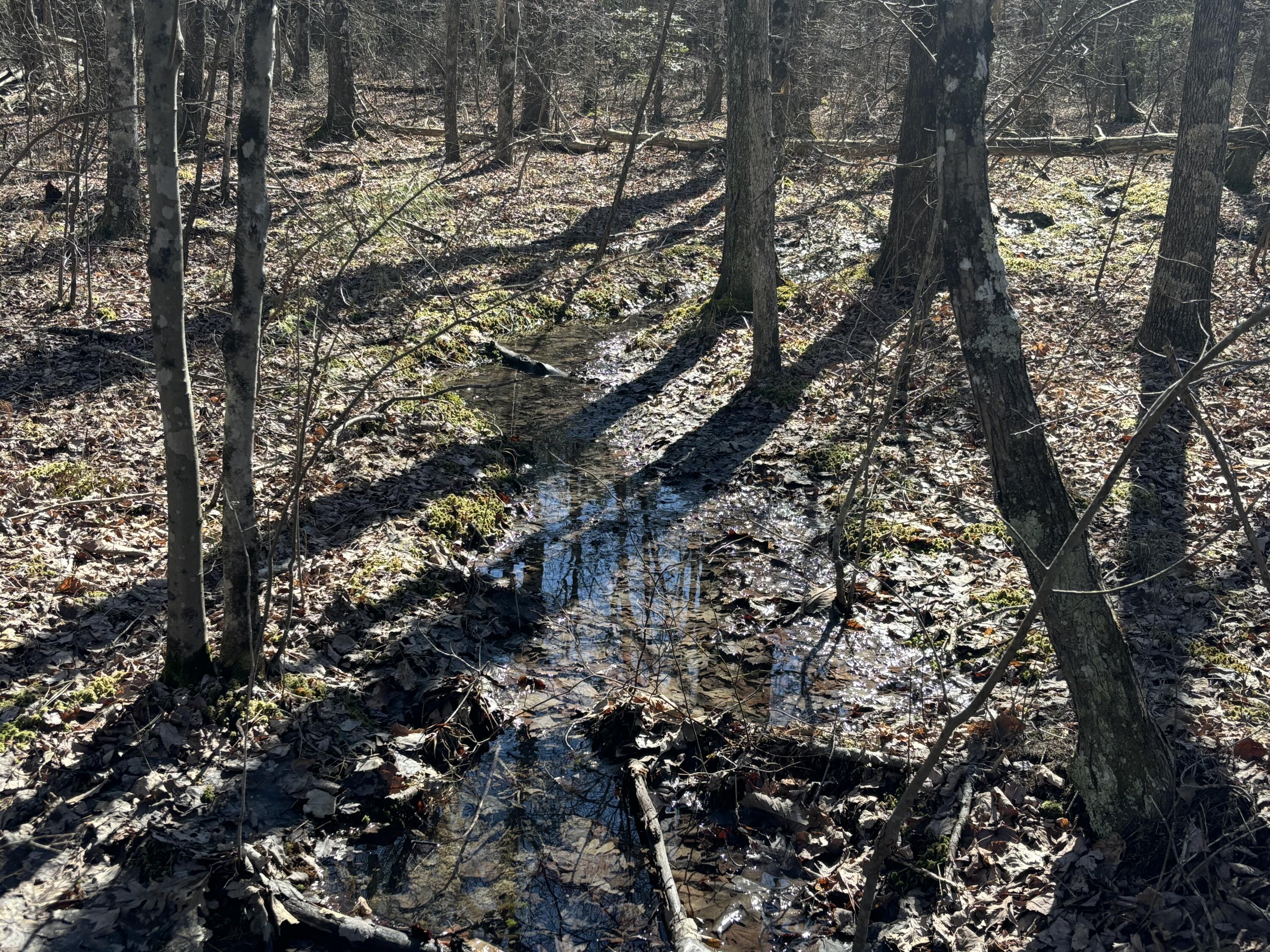 9 Hwy 399 Road Dunlap, TN 37327 - Photo 2 of 15 Photo Feb 24 2025, 11 47 38 AM