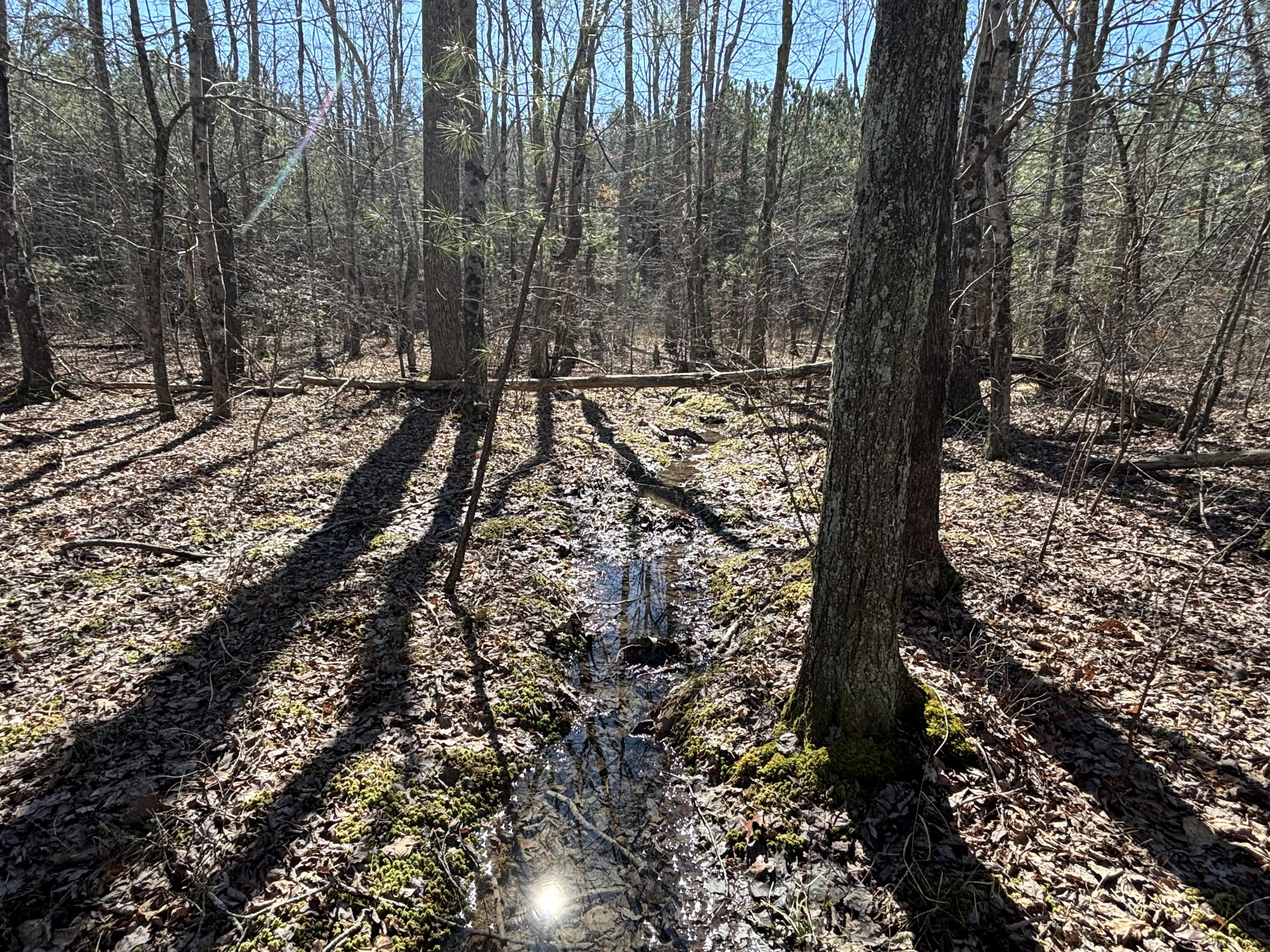 9 Hwy 399 Road Dunlap, TN 37327 - Photo 3 of 15 Photo Feb 24 2025, 11 47 56 AM