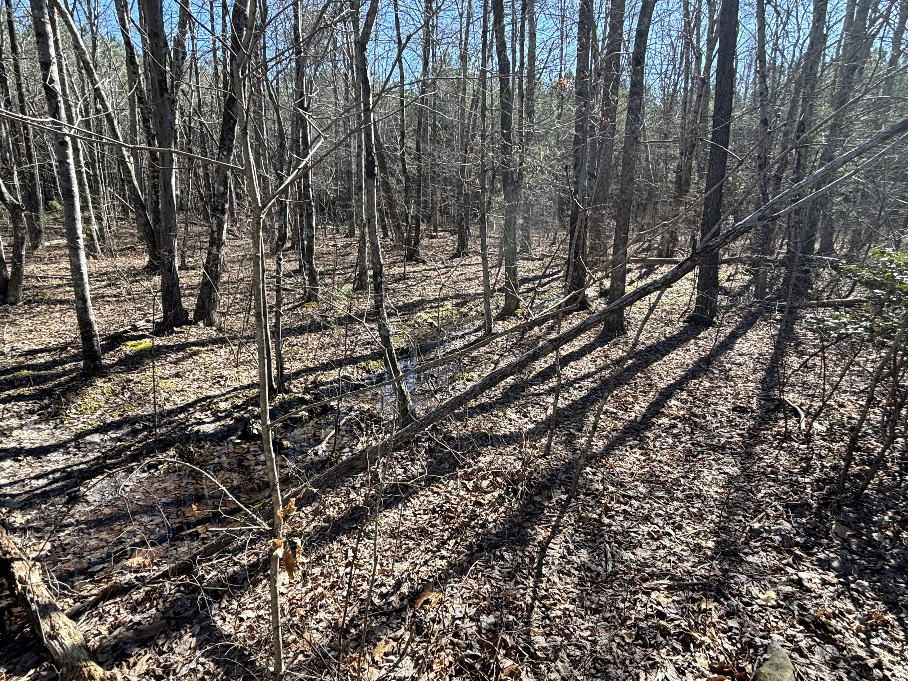 9 Hwy 399 Road Dunlap, TN 37327 - Photo 5 of 15 Photo Feb 24 2025, 11 47 16 AM