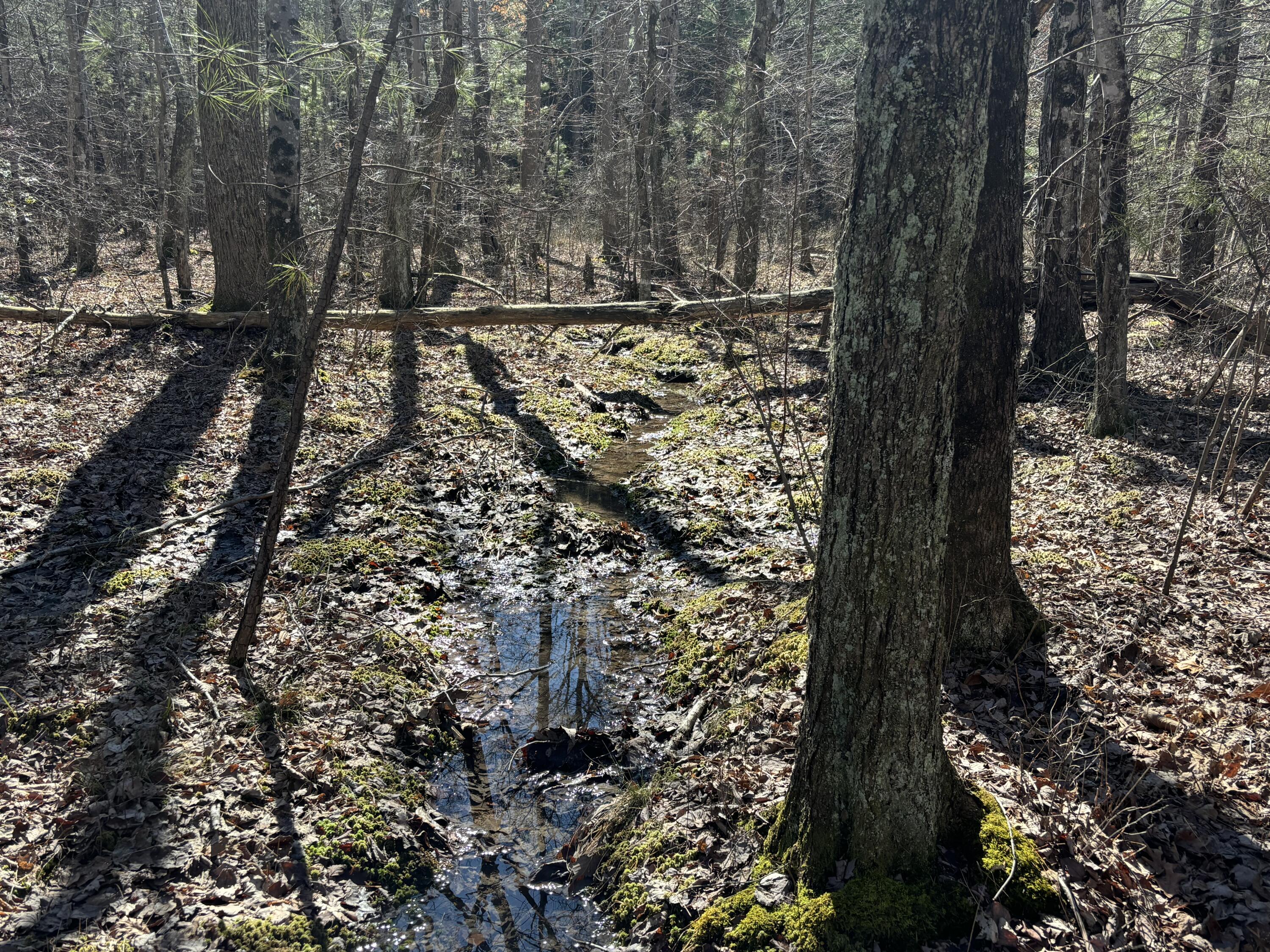 9 Hwy 399 Road Dunlap, TN 37327 - Photo 6 of 15 Photo Feb 24 2025, 11 48 00 AM