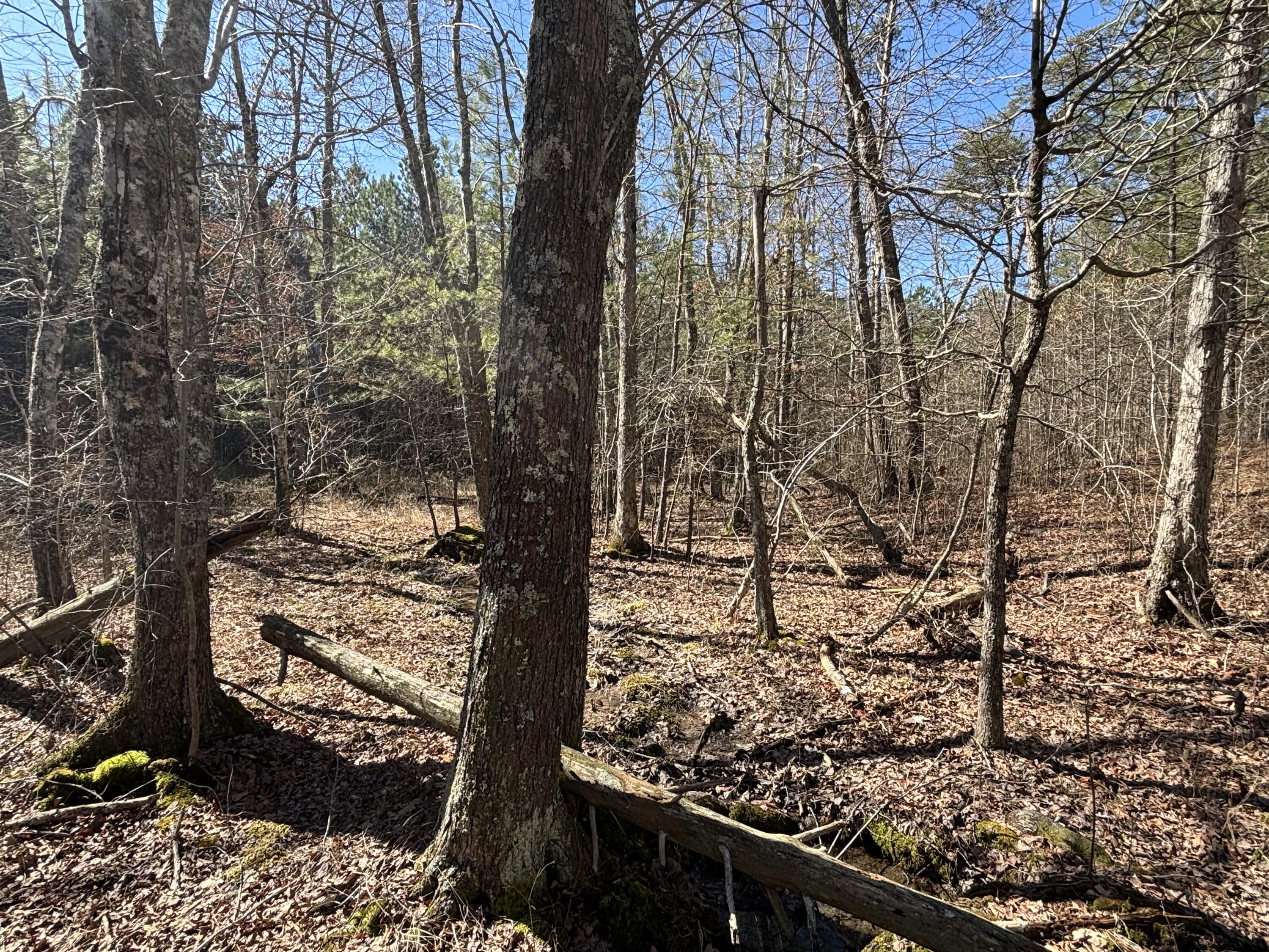 9 Hwy 399 Road Dunlap, TN 37327 - Photo 7 of 15 Photo Feb 24 2025, 11 48 52 AM