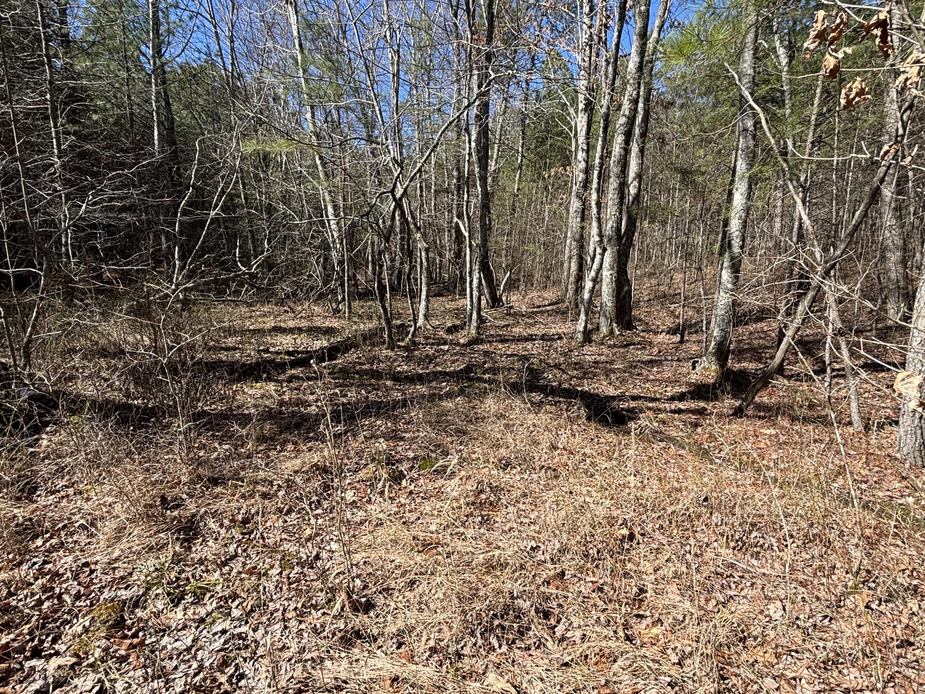 9 Hwy 399 Road Dunlap, TN 37327 - Photo 8 of 15 Photo Feb 24 2025, 11 49 16 AM