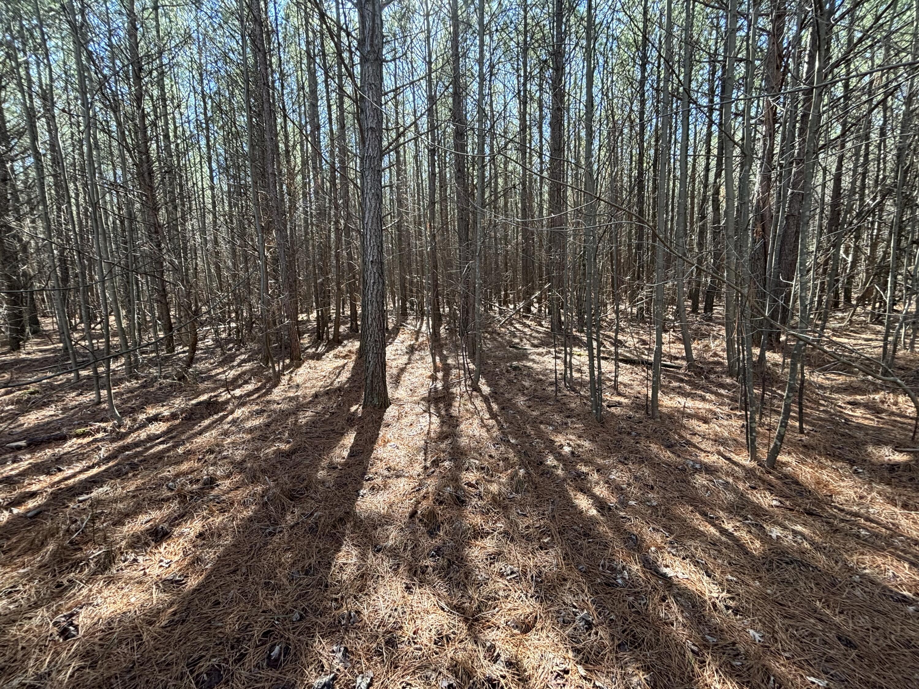 9 Hwy 399 Road Dunlap, TN 37327 - Photo 9 of 15 Photo Feb 24 2025, 11 50 37 AM