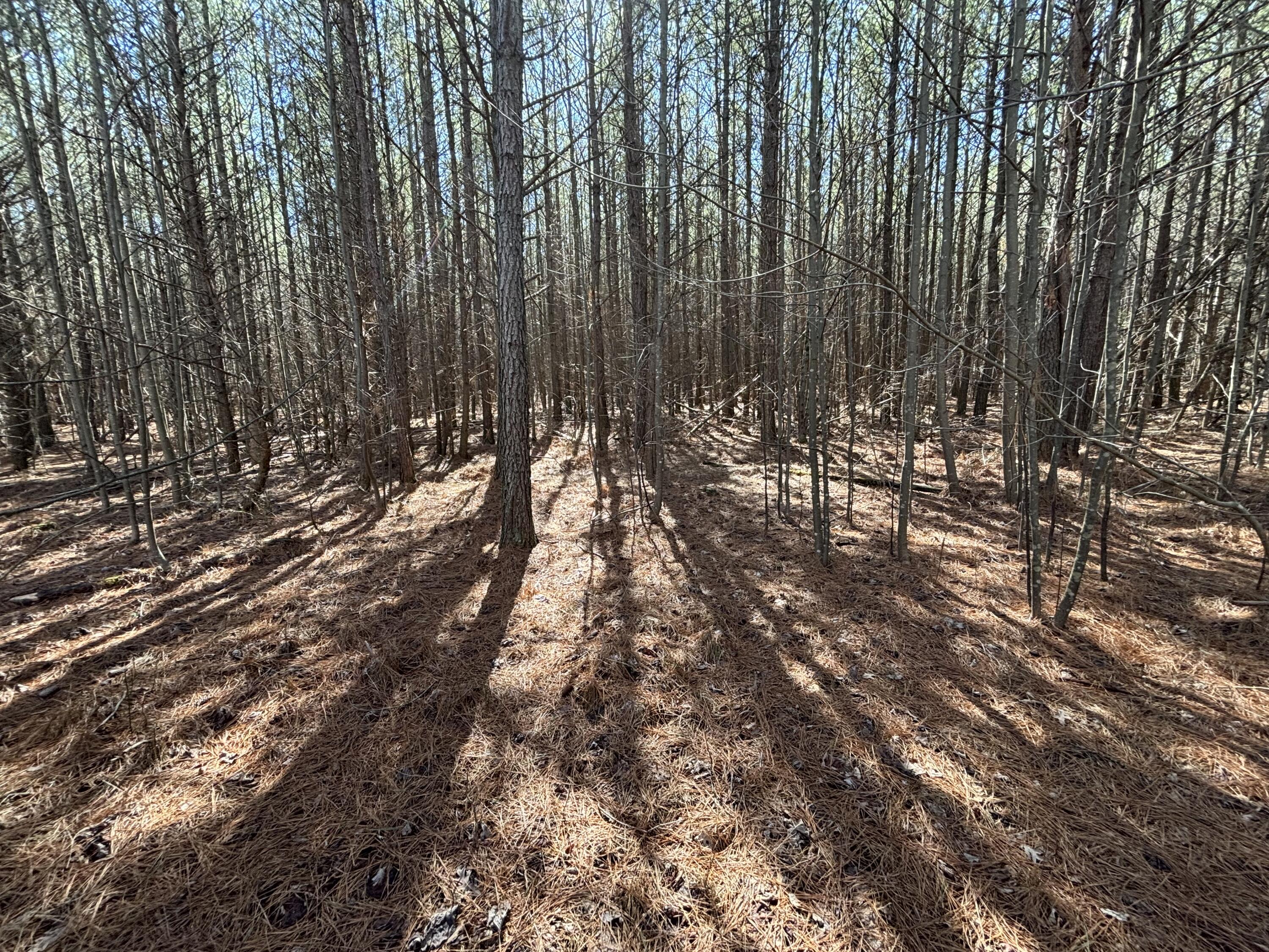 9 Hwy 399 Road Dunlap, TN 37327 - Photo 10 of 15 Photo Feb 24 2025, 11 50 38 AM