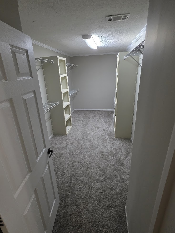 2004 Luther Sharp Road Columbia, TN 38401 - Photo 14 of 18 a view of walk in closet