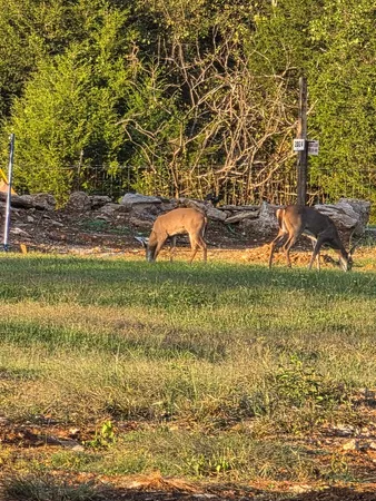 a view of outdoor space