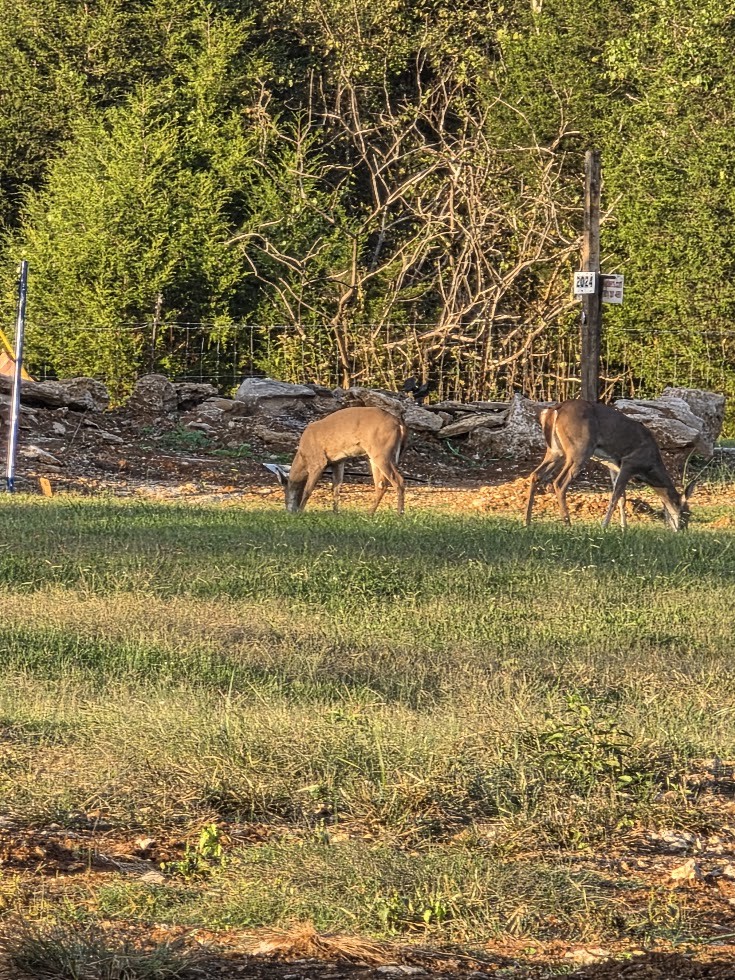 2004 Luther Sharp Road Columbia, TN 38401 - Photo 18 of 18 a view of outdoor space
