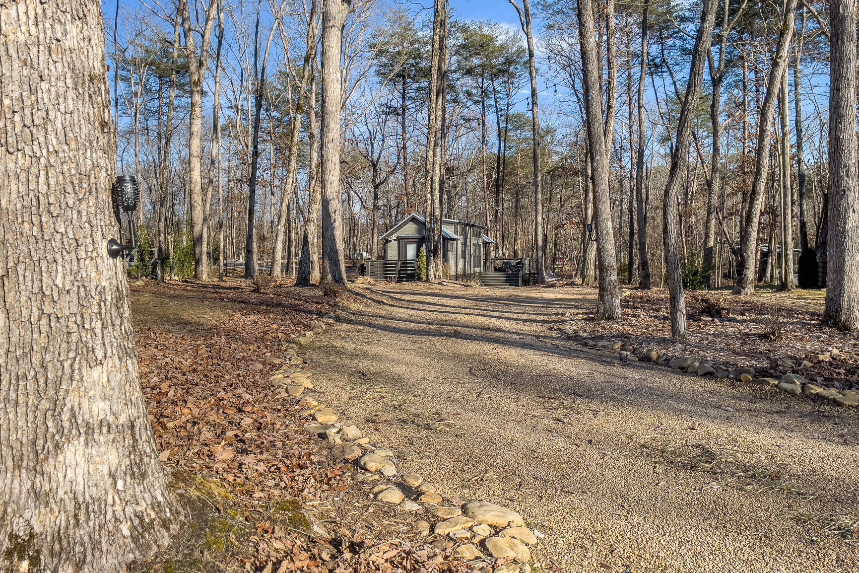 574 Deer Lick Trail Monteagle, TN 37356 - Photo 4 of 21 a view of a building with large trees