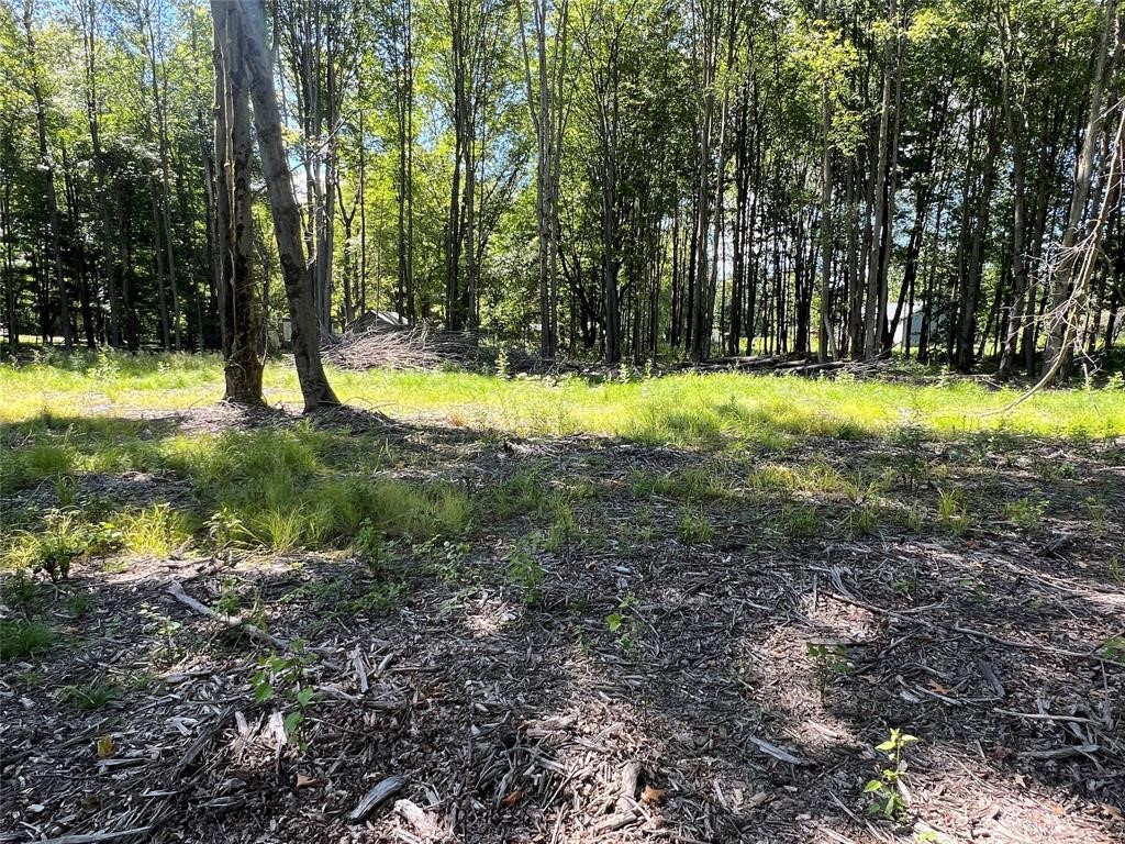 2369 Leach Road Linesville, PA 16424 - Photo 6 of 12 Cleared and ready to build your dream home.