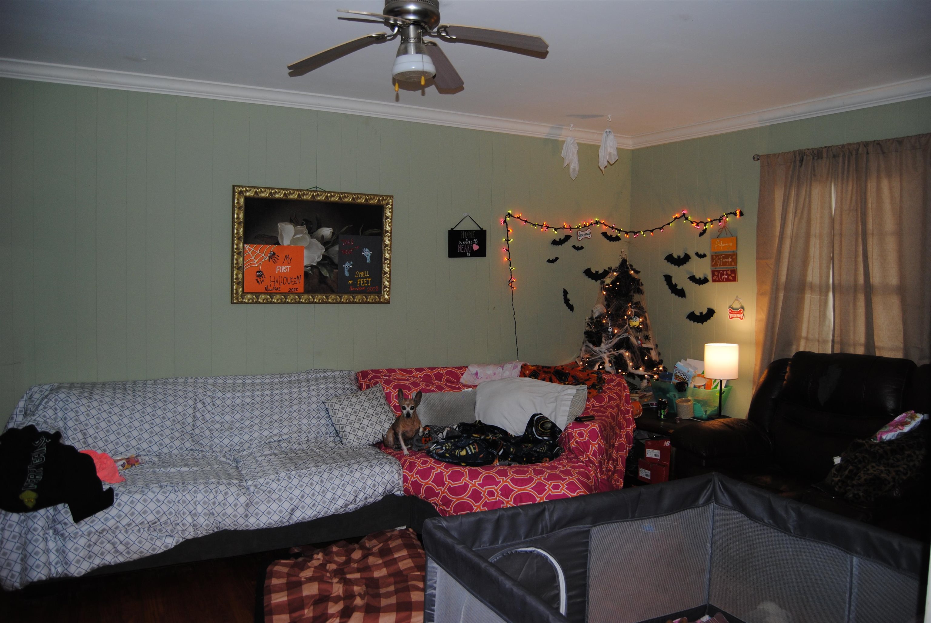 1407 Nuckolls Road Bolivar, TN 38008 - Photo 5 of 21 Gallery Image 5