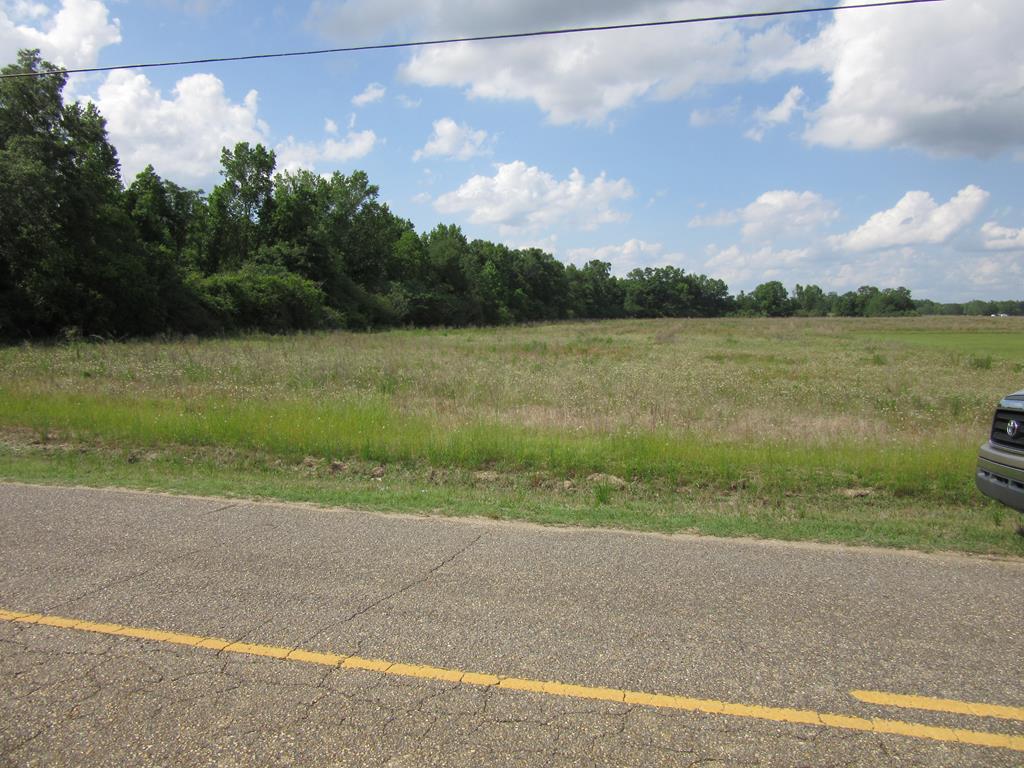 0 Baxter Road Ashford, AL 36312 - Photo 1 of 3