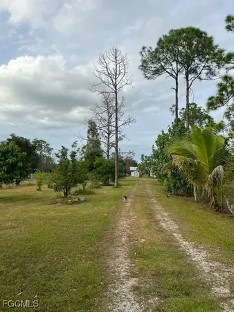 a view of a field with an trees