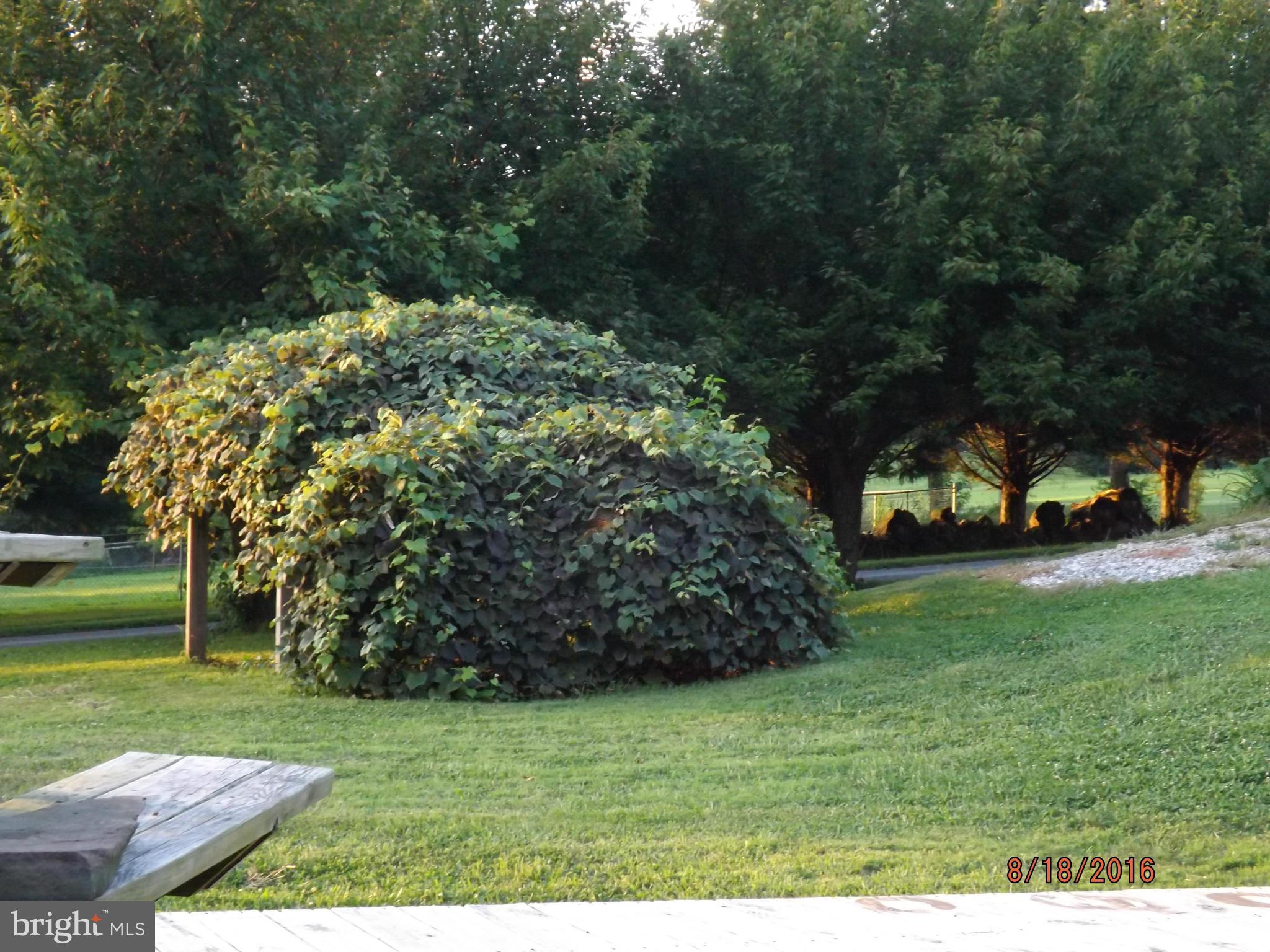 2623 Marston Road New Windsor, MD 21776 - Photo 14 of 16 landscape