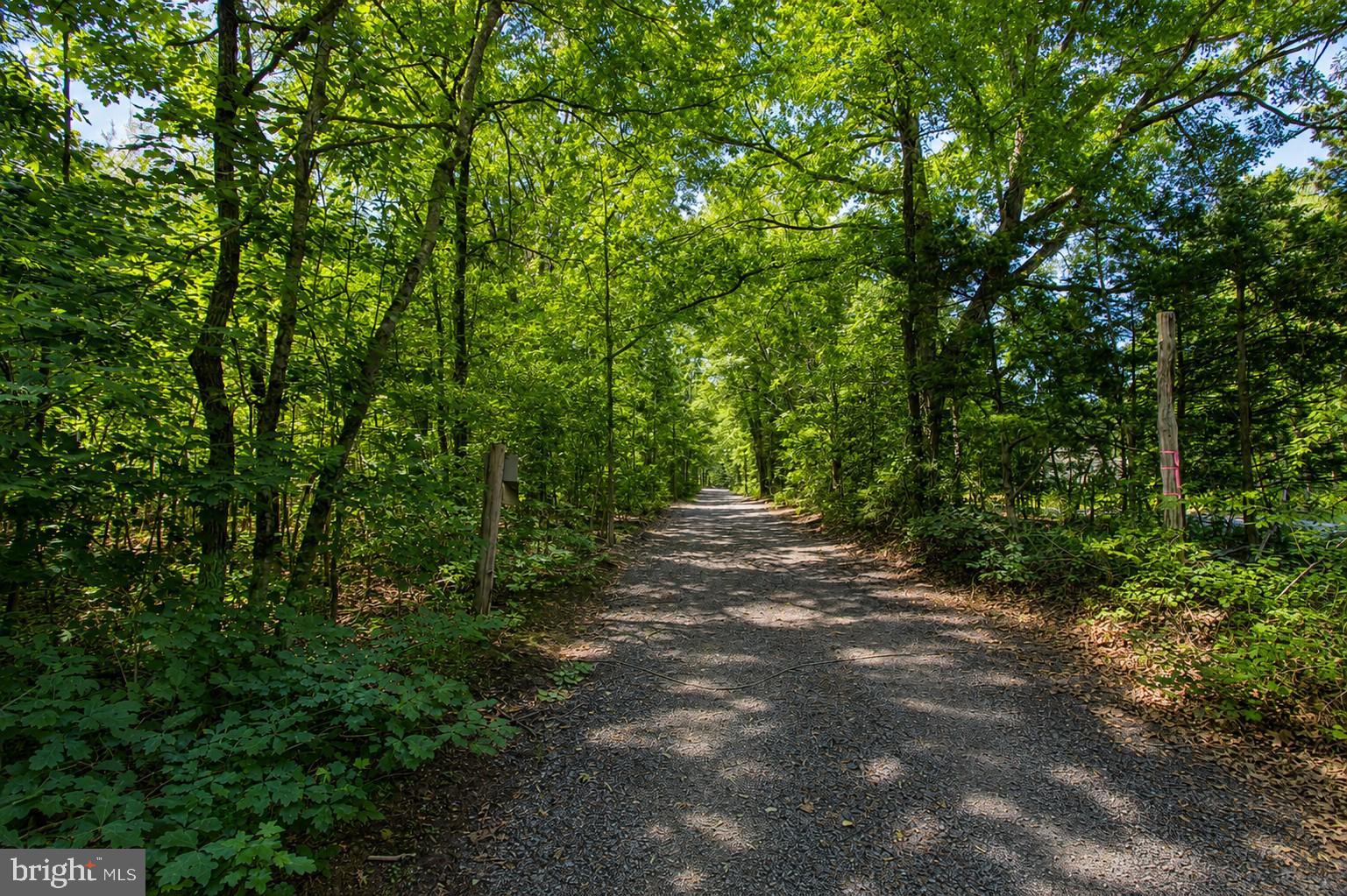 4319 Hadamar Road Spotsylvania, VA 22551 - Photo 7 of 14