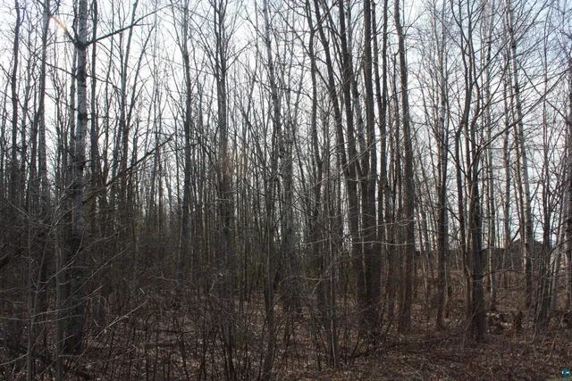 $60,000 | 50-xx South Maple Drive, Poplar, WI 54864