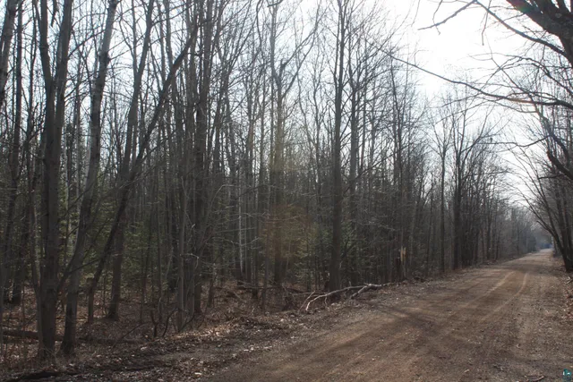 $60,000 | 50-xx South Maple Drive, Poplar, WI 54864