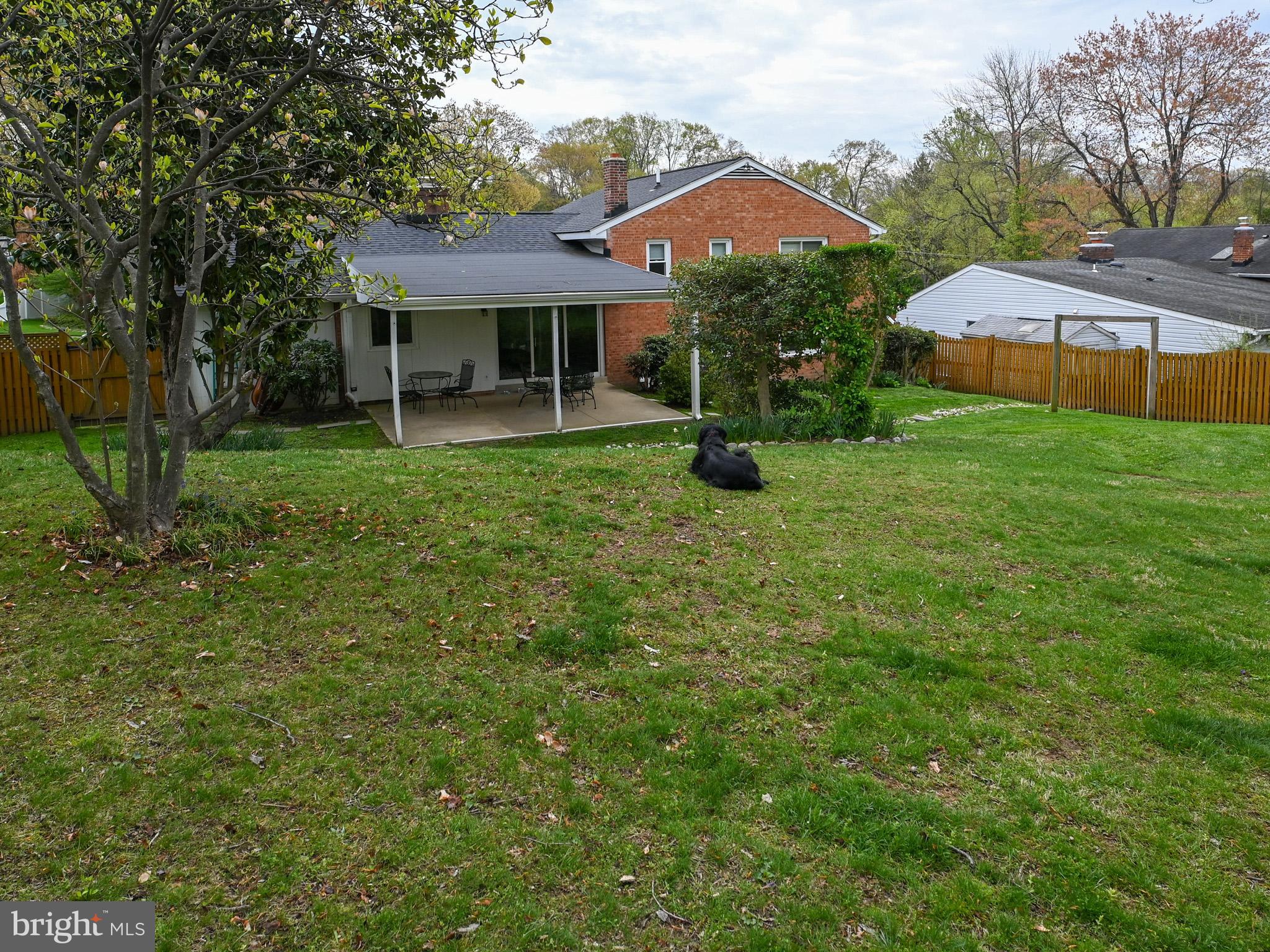 7951 Jansen Drive Springfield, VA 22152 - Photo 35 of 36 a front view of a house with a yard