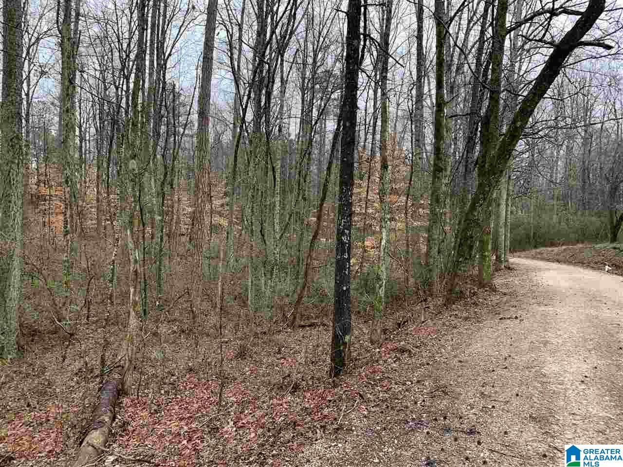 258 Gargus Farm Road Oneonta, AL 35121 - Photo 11 of 13