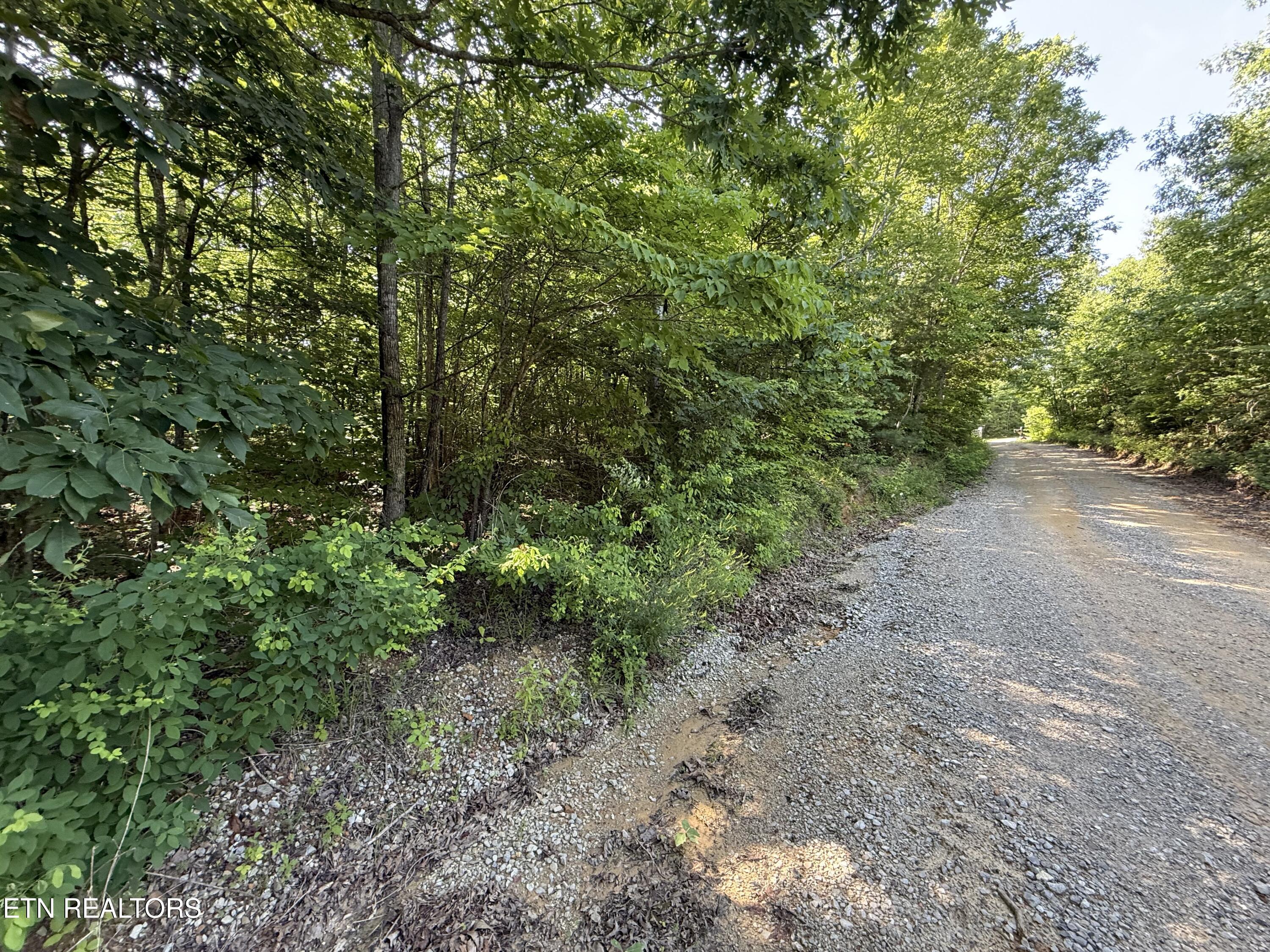 969 Lewallen Road Sunbright, TN 37872 - Photo 11 of 21 IMG_4314
