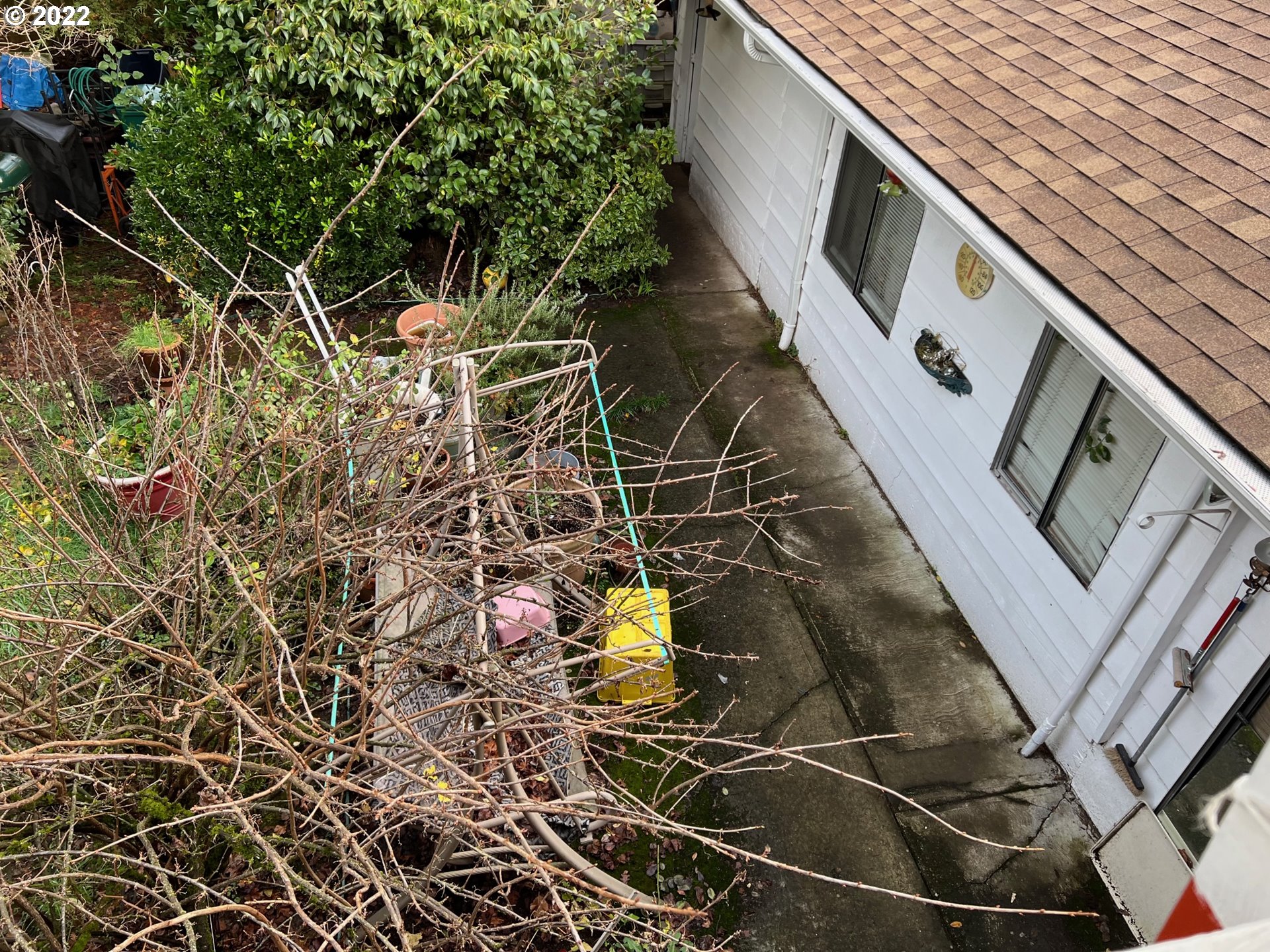 5615 Southwest Pendleton Street Portland, OR 97221 - Photo 13 of 13 Backyard