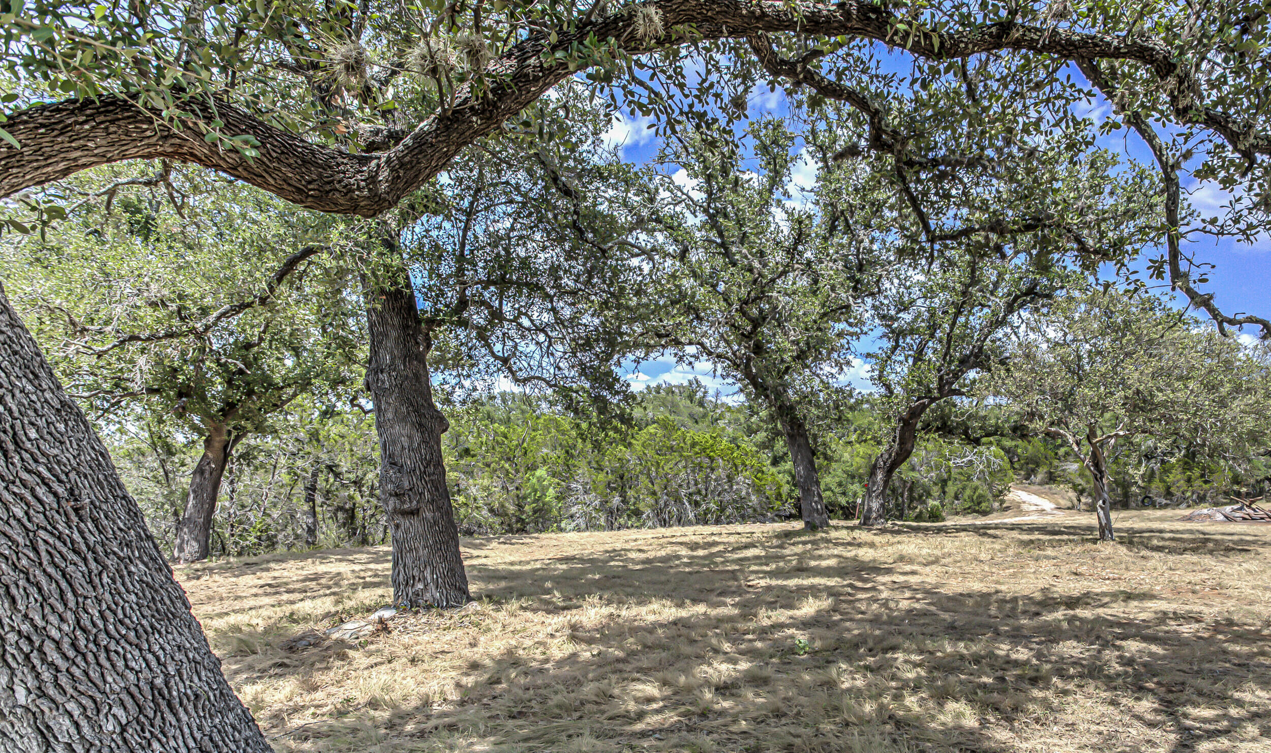 920 Boulting House Road Marble Falls, TX 78654 - Photo 8 of 43 5 acre 7
