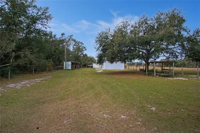a view of a field with trees in the background