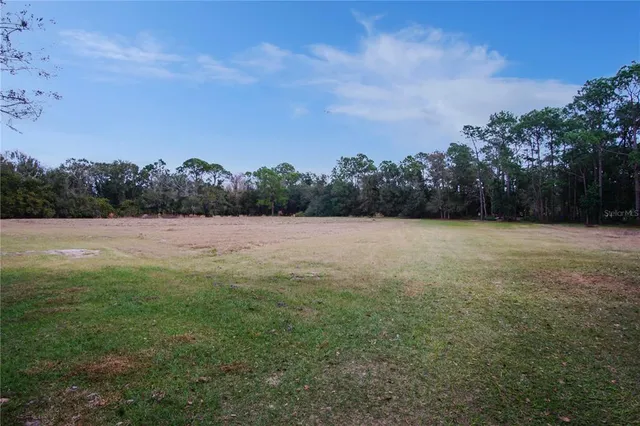 a view of a field with trees in background