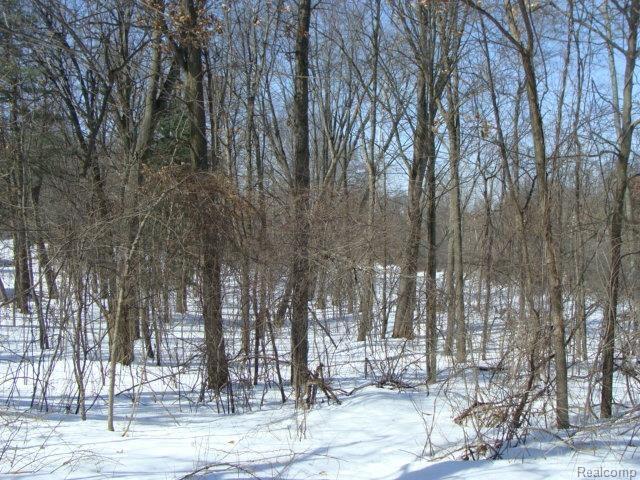0 Nakomis Road Lake Orion, MI 48362 - Photo 12 of 12 484 Cushing-Nakomis 044.jpg