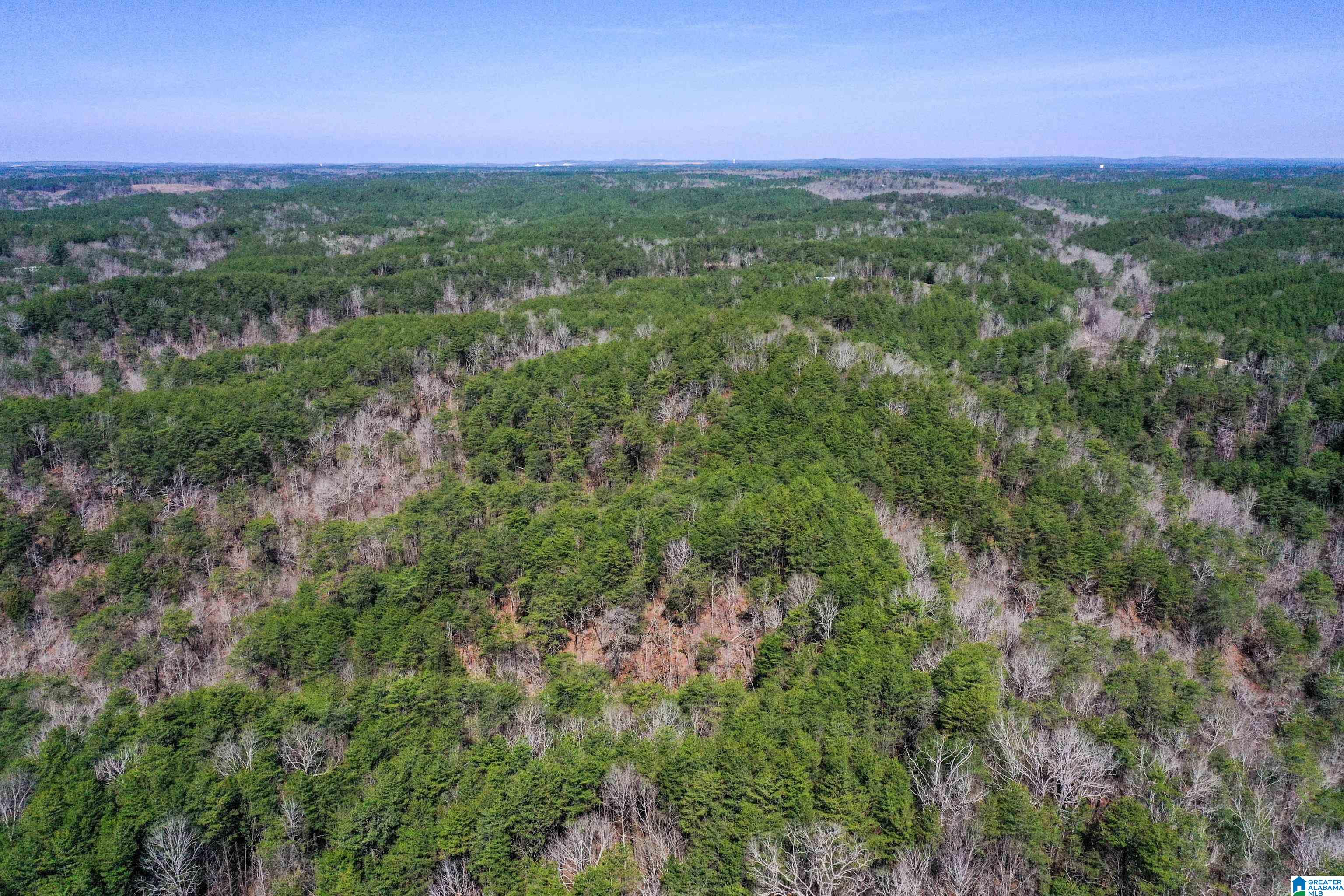 565 Hiawatha Road Calera, AL 35040 - Photo 18 of 27