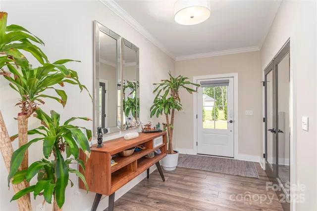 a room with window and a potted plant