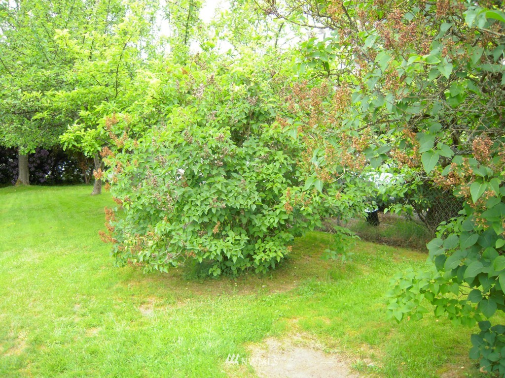 0 Fern Road Everett, WA 98203 - Photo 6 of 8