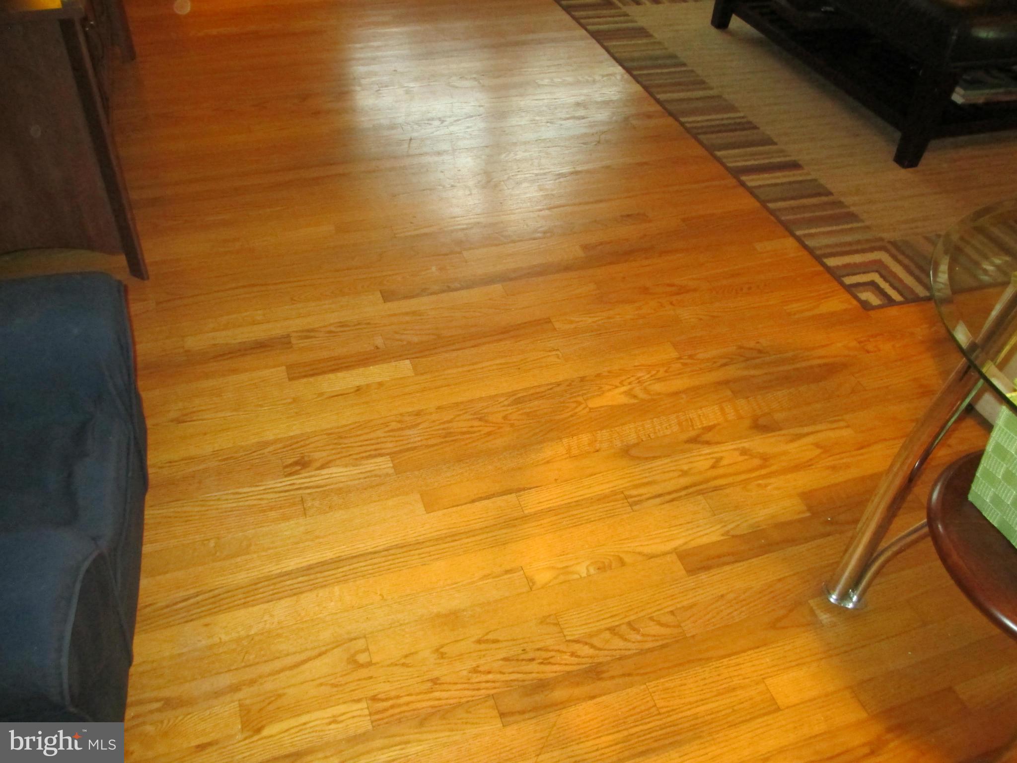 105 Bywood Road Elkton, MD 21921 - Photo 5 of 14 Interior (General)