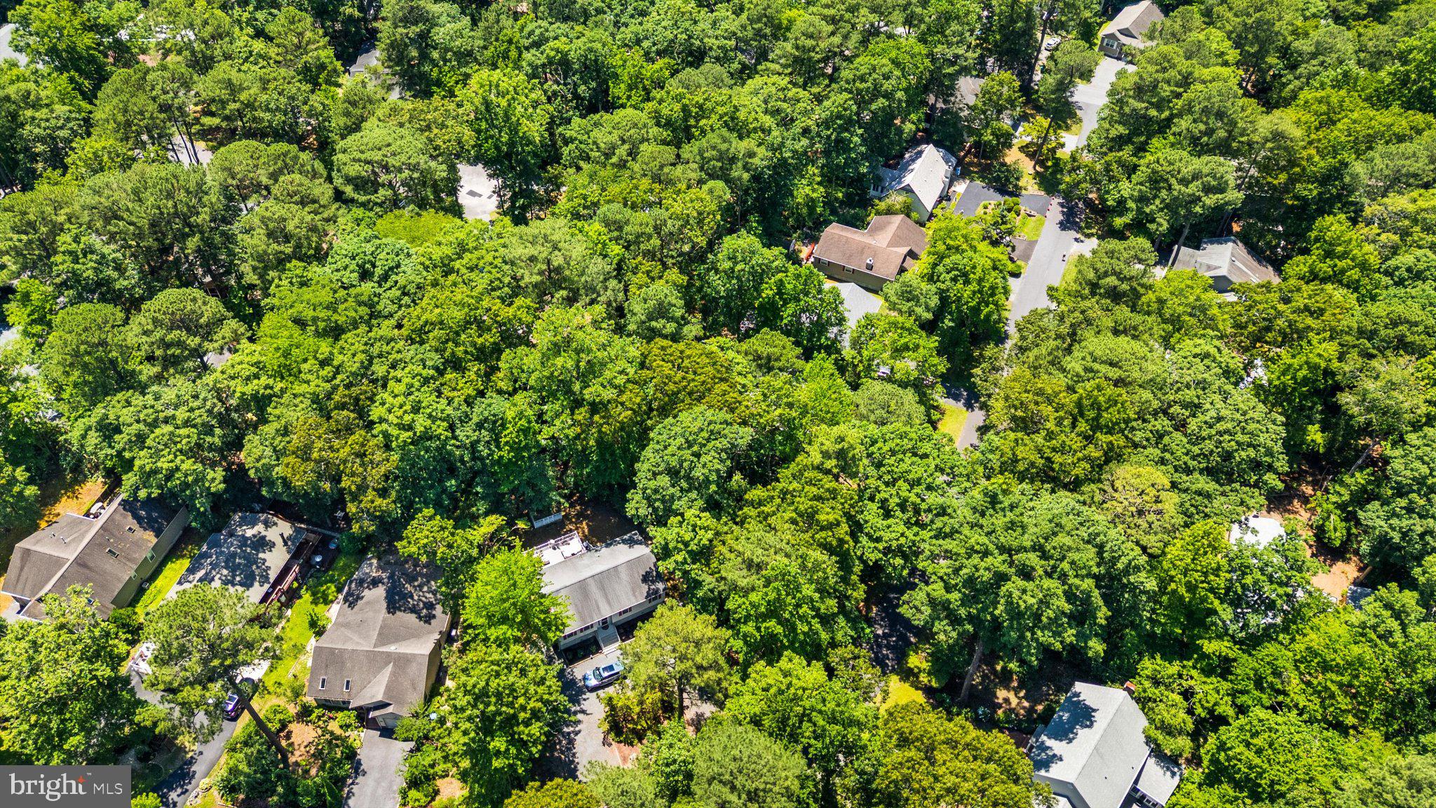 12 Moonraker Road Ocean Pines, MD 21811 - Photo 8 of 17 Lush greenery envelops cozy homes.