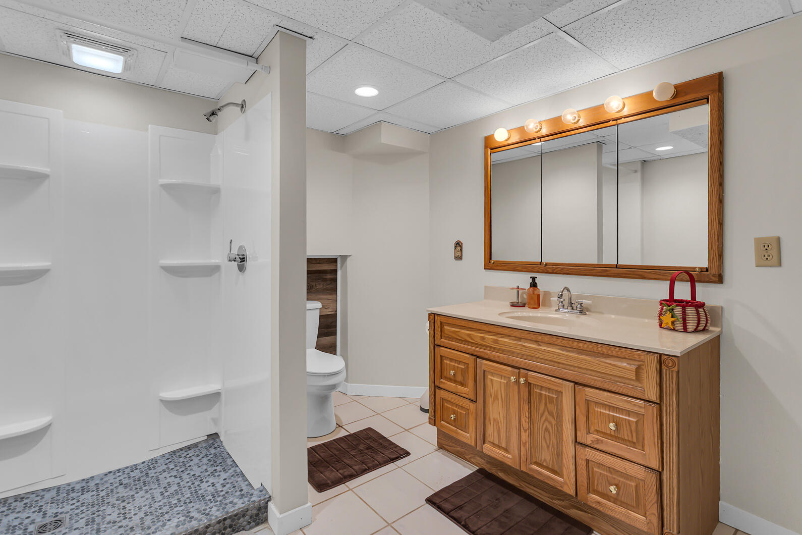 8595 Rives Junction Road Rives Junction, MI 49277 - Photo 40 of 60 Bath #4