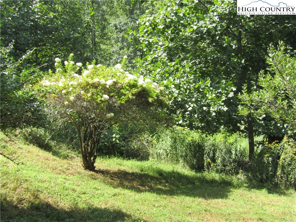 709 Laurel Creek Road Sugar Grove, NC 28679 - Photo 13 of 41 Gallery Image 13