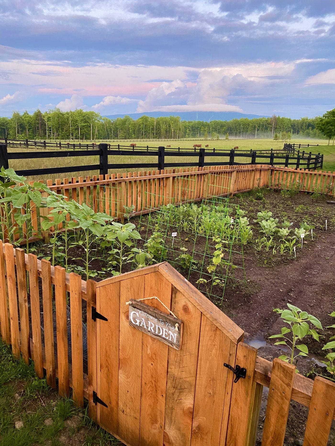 904 Reilly Road Londonderry, VT 05148 - Photo 27 of 40