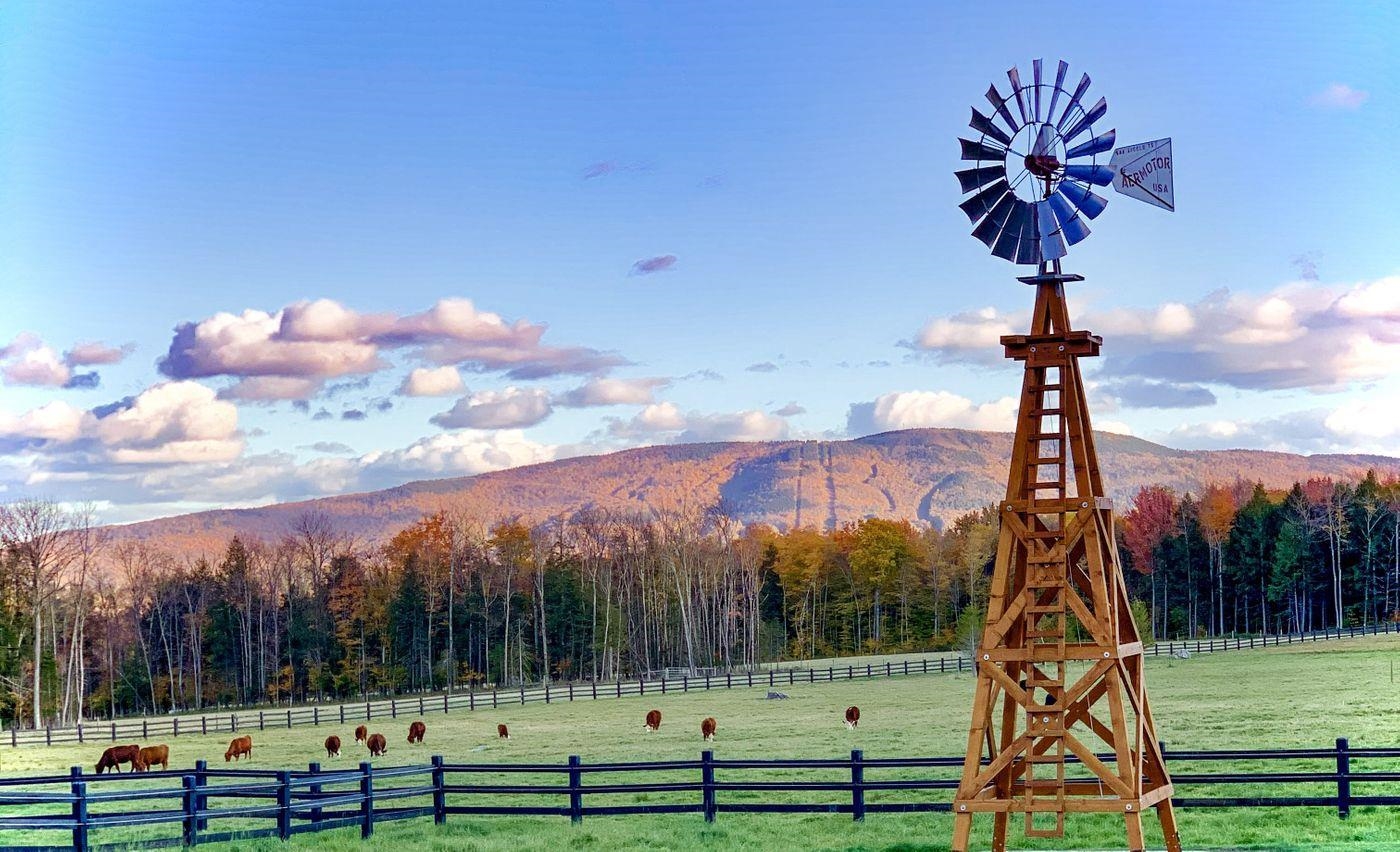 904 Reilly Road Londonderry, VT 05148 - Photo 3 of 40